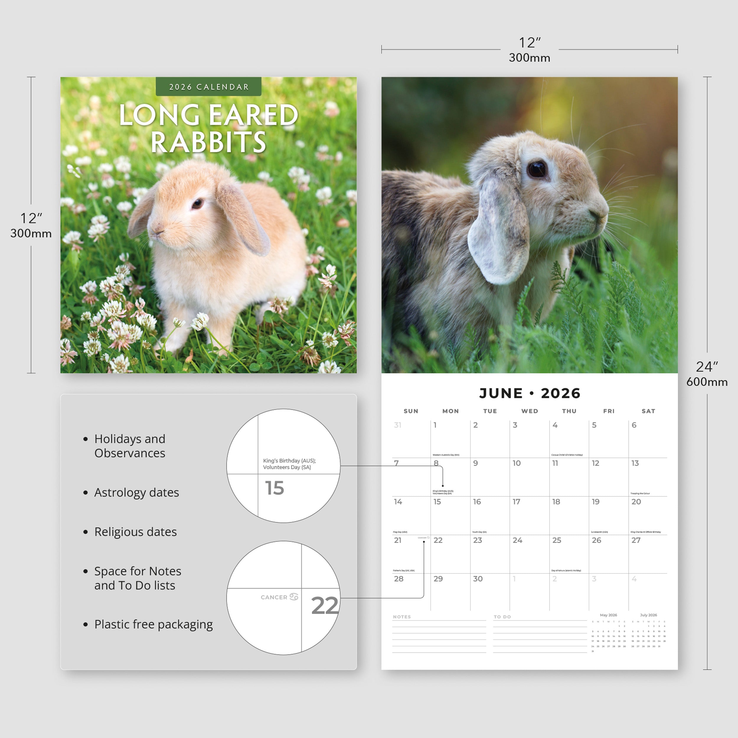 2026 Long Eared Rabbits - Square Wall Calendar