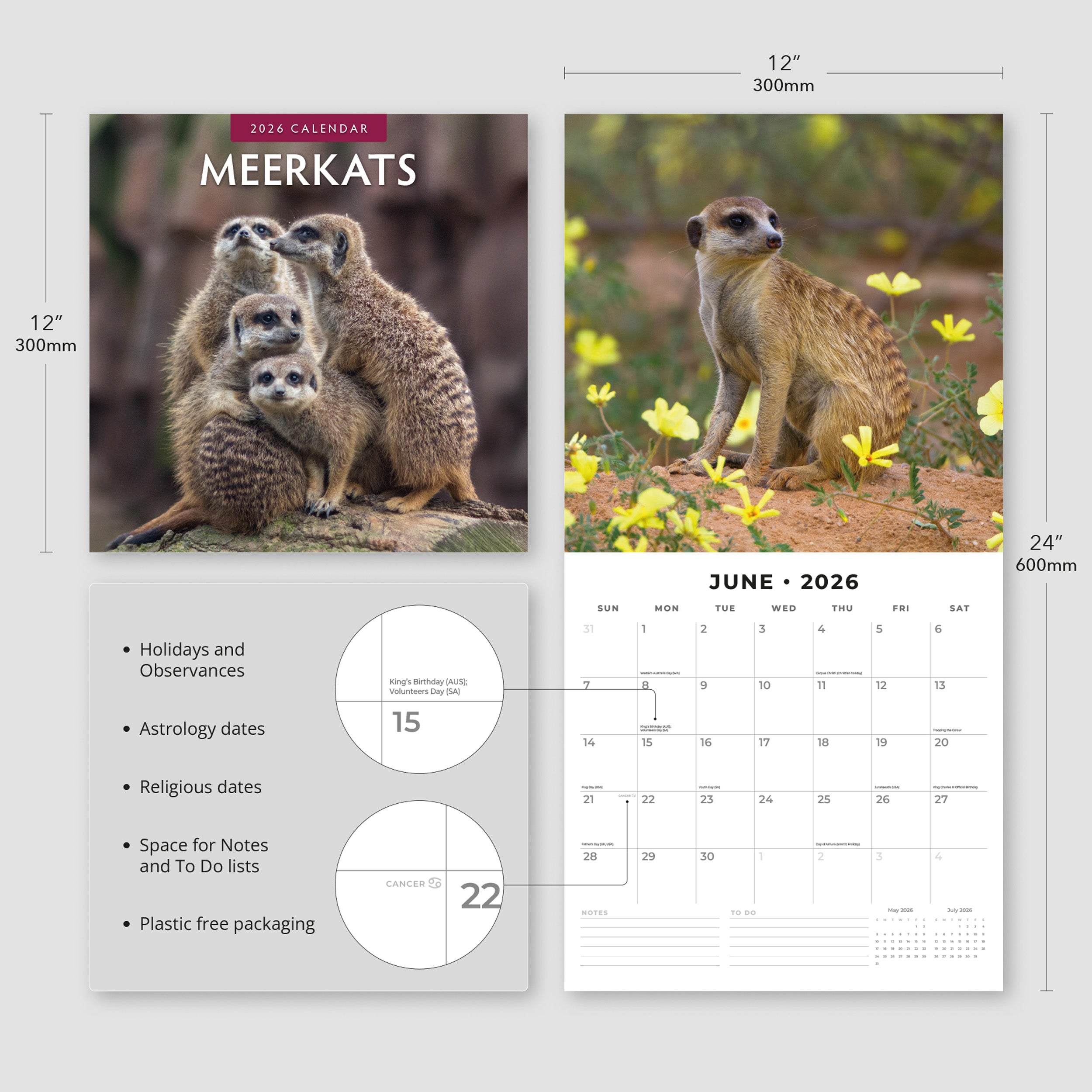 2026 Meerkats - Square Wall Calendar
