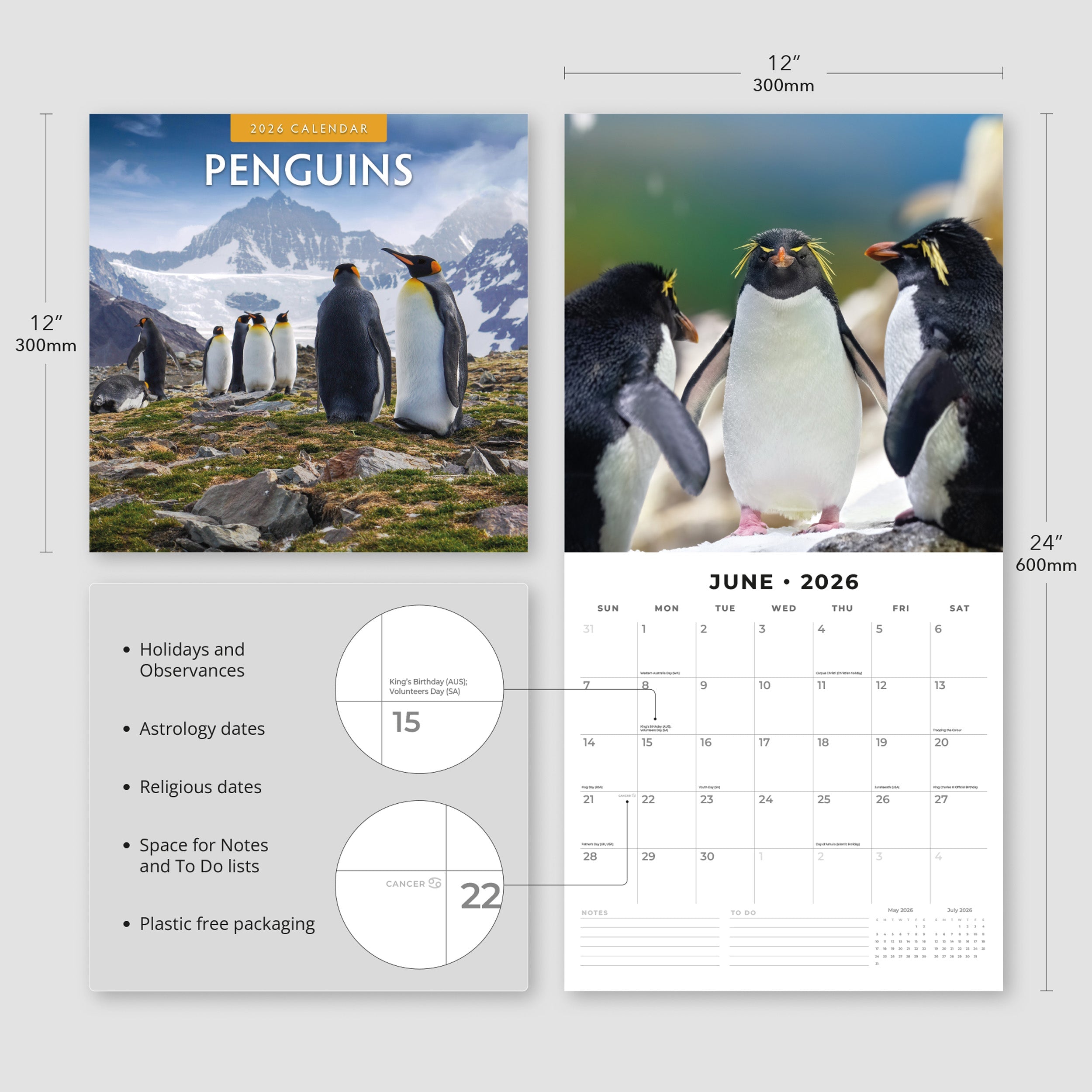 2026 Penguins - Square Wall Calendar