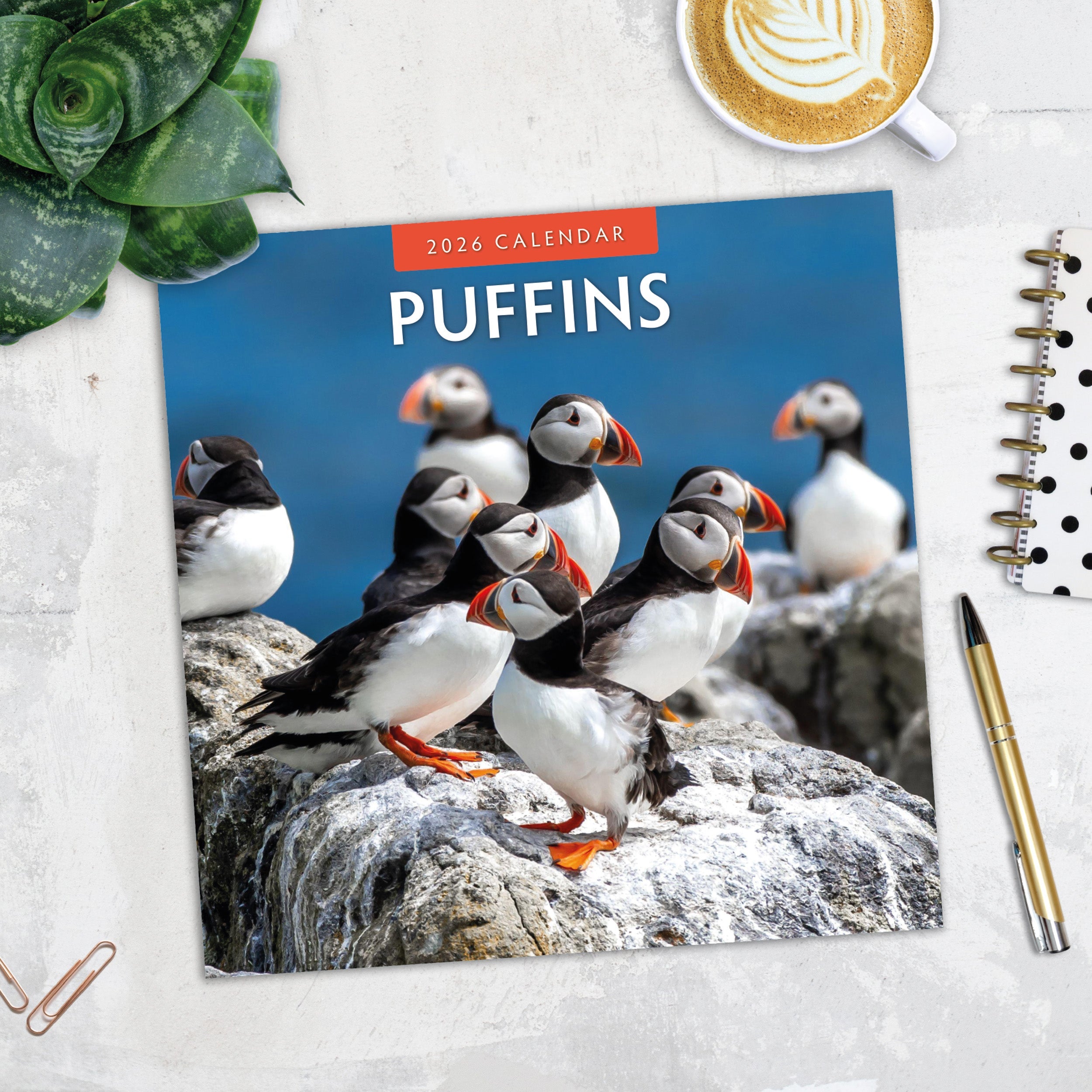 2026 Puffins - Square Wall Calendar