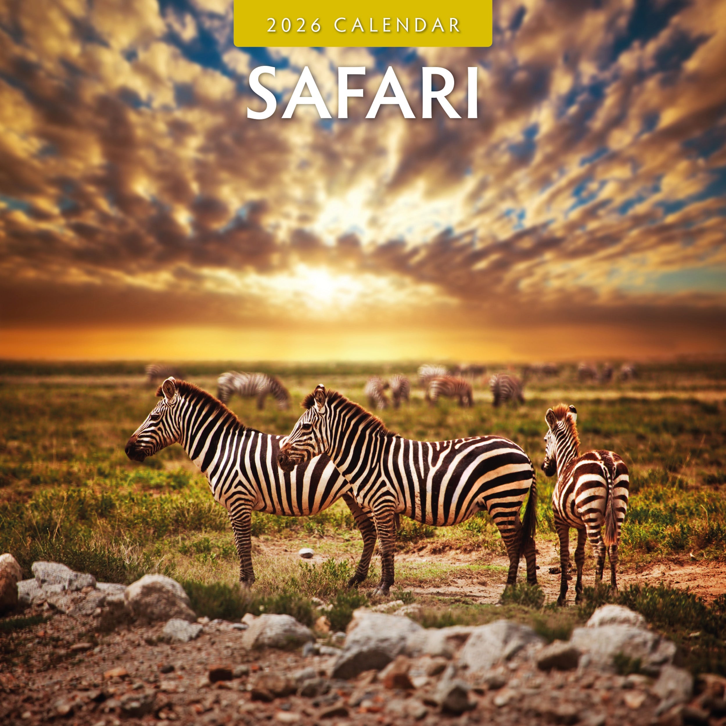 2026 Safari - Square Wall Calendar