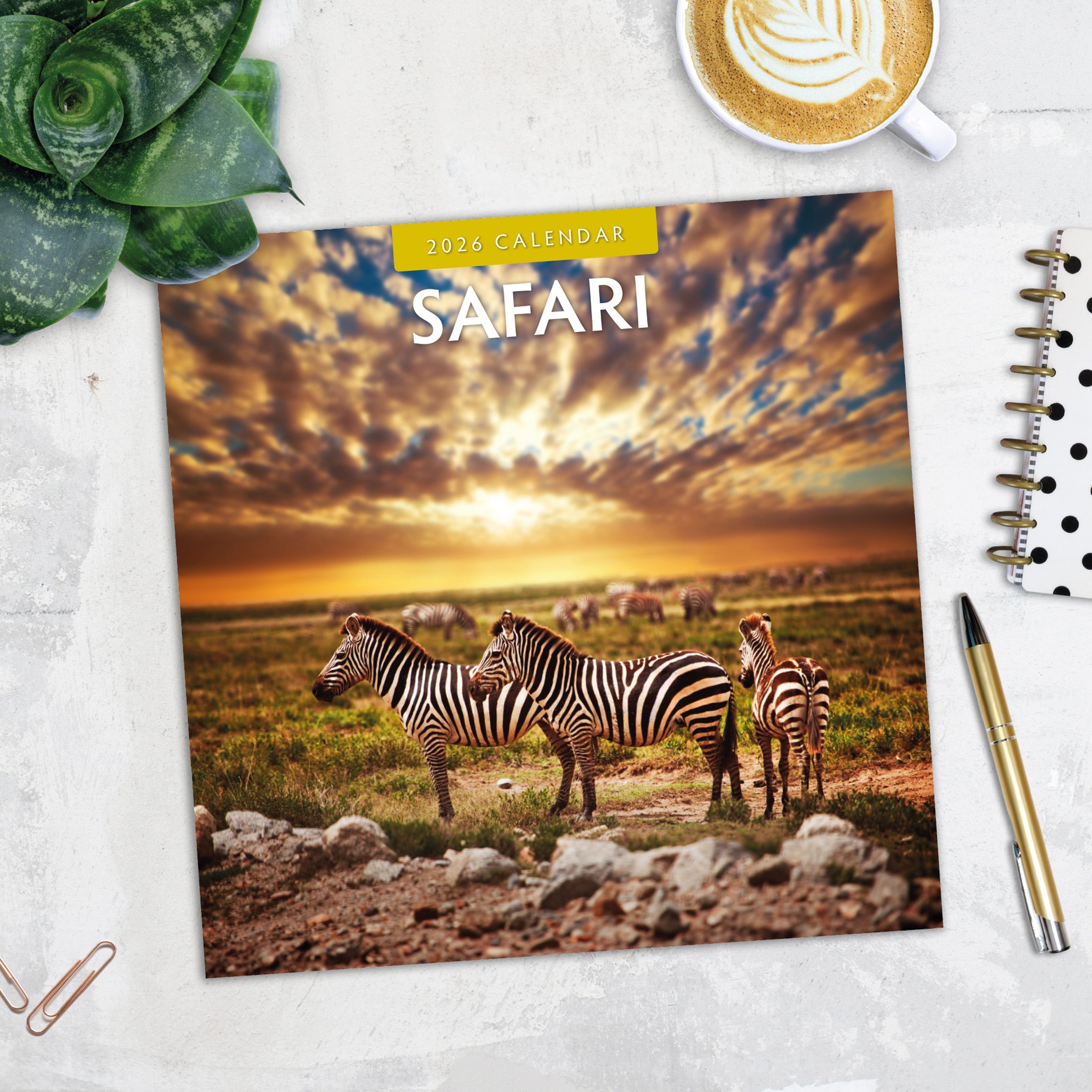 2026 Safari - Square Wall Calendar