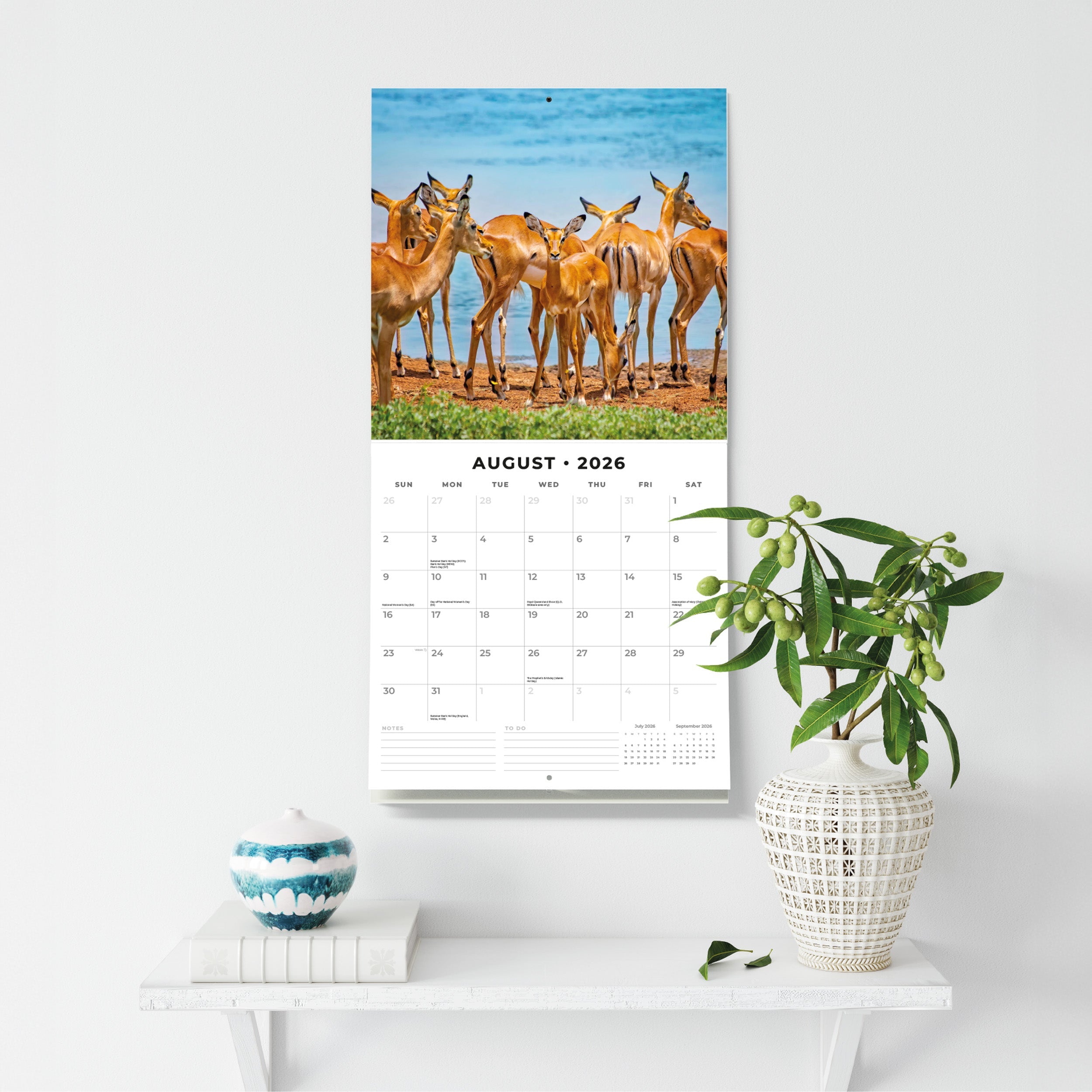 2026 Safari - Square Wall Calendar