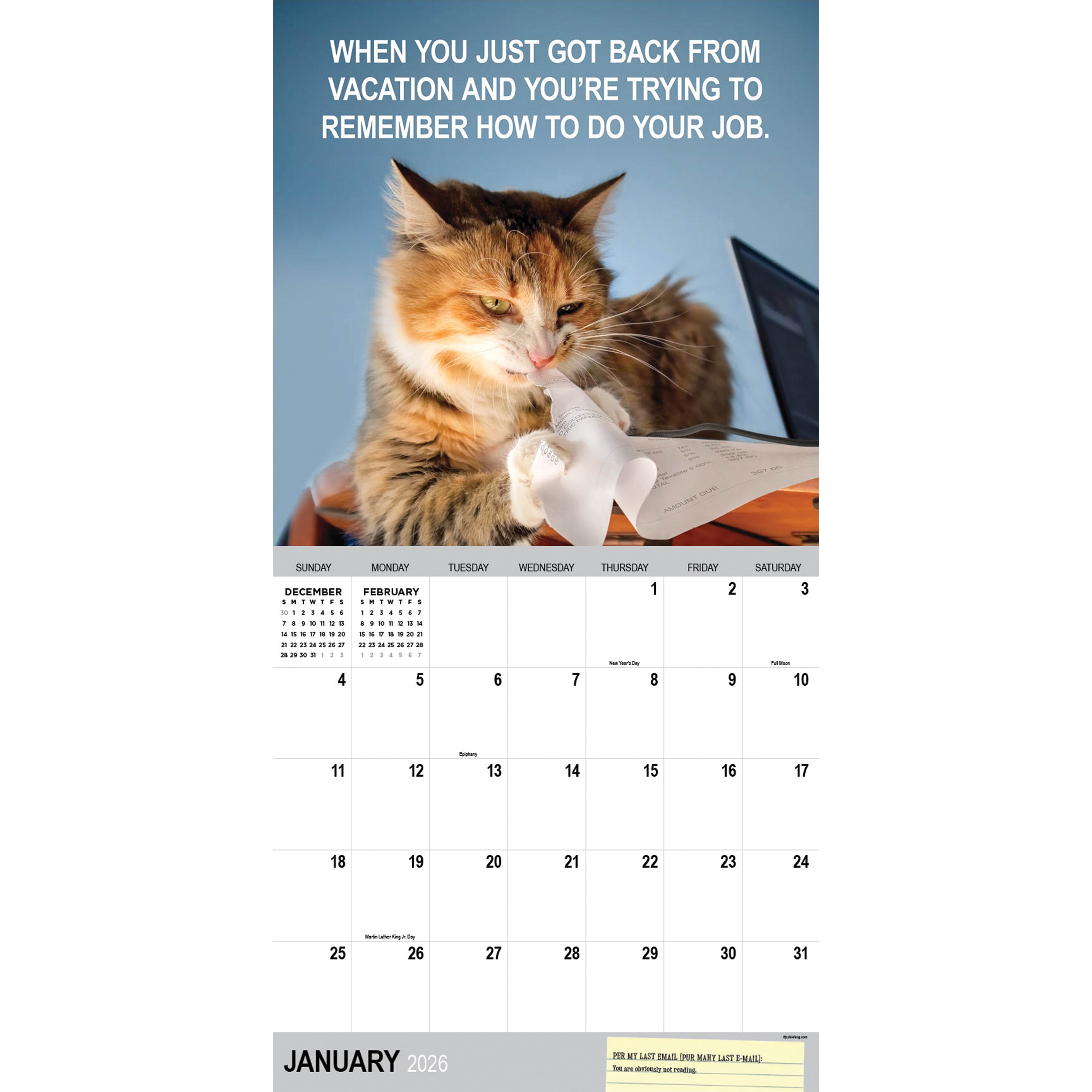 2026 Corporate Cats - Square Wall Calendar