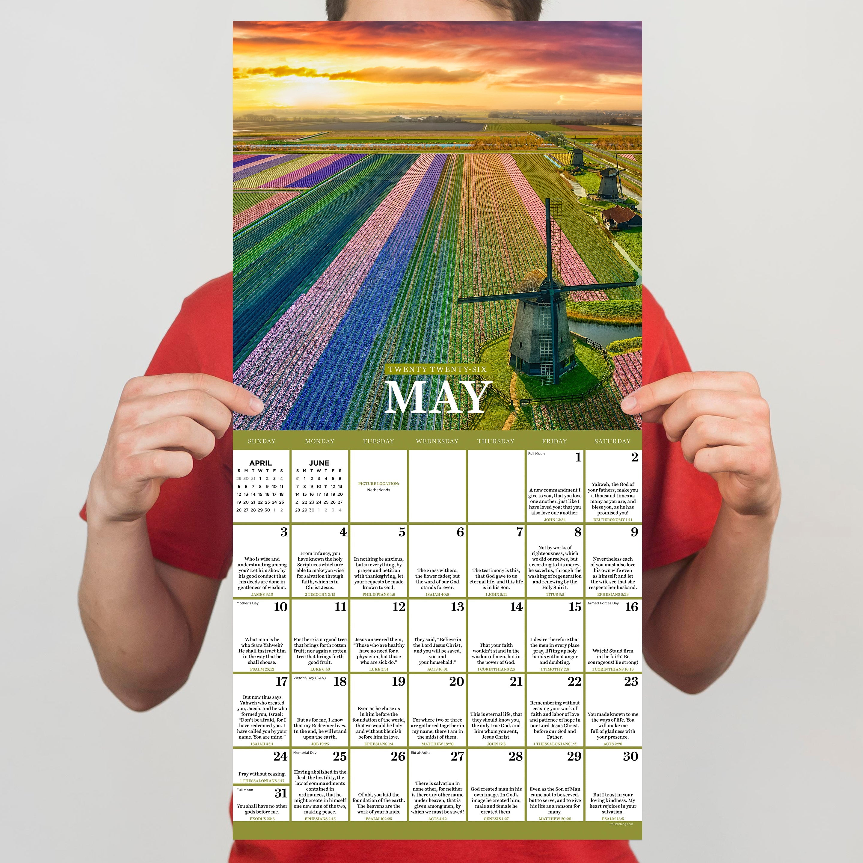 2026 Daily Verse - Square Wall Calendar