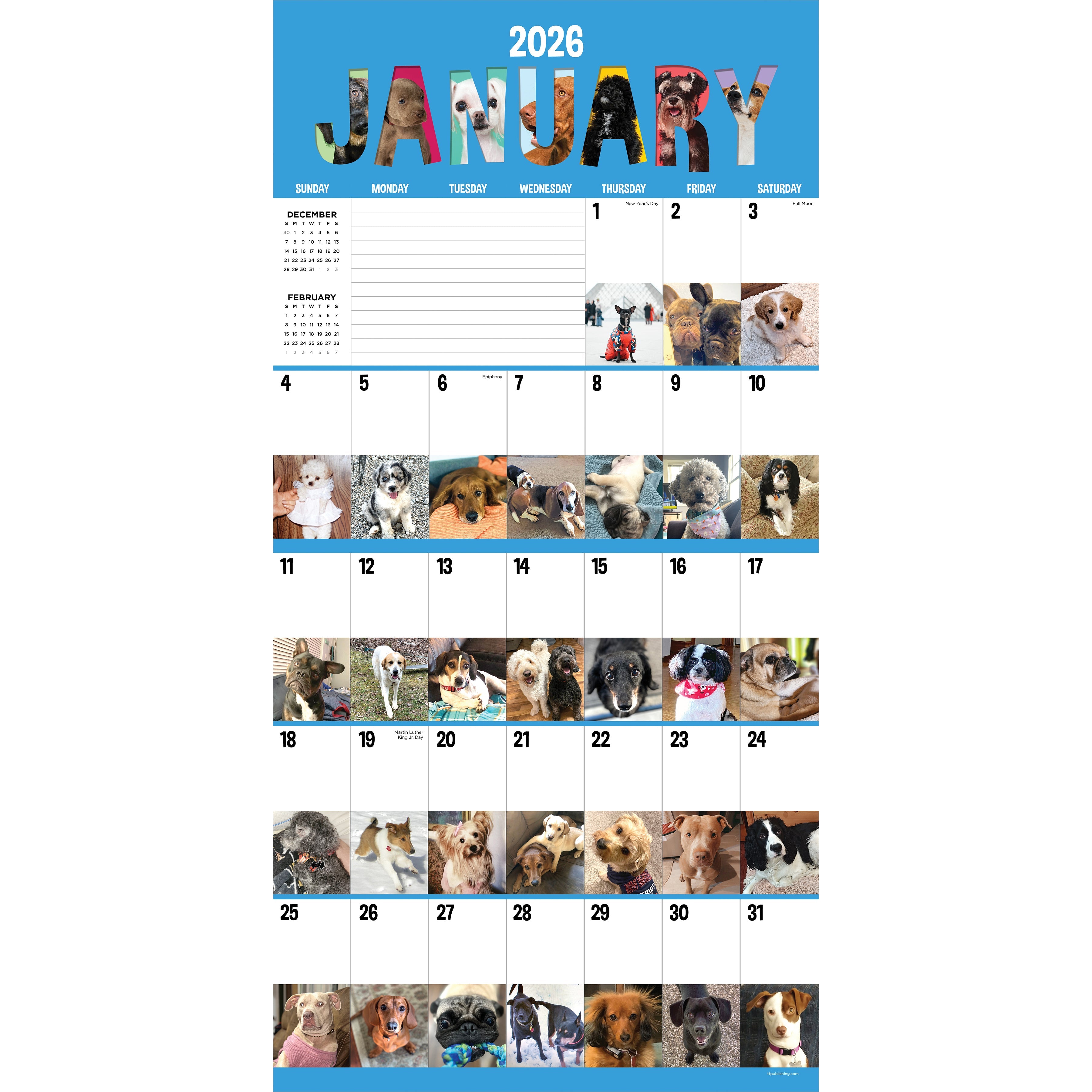 2026 Dog-A-Day - Square Wall Calendar
