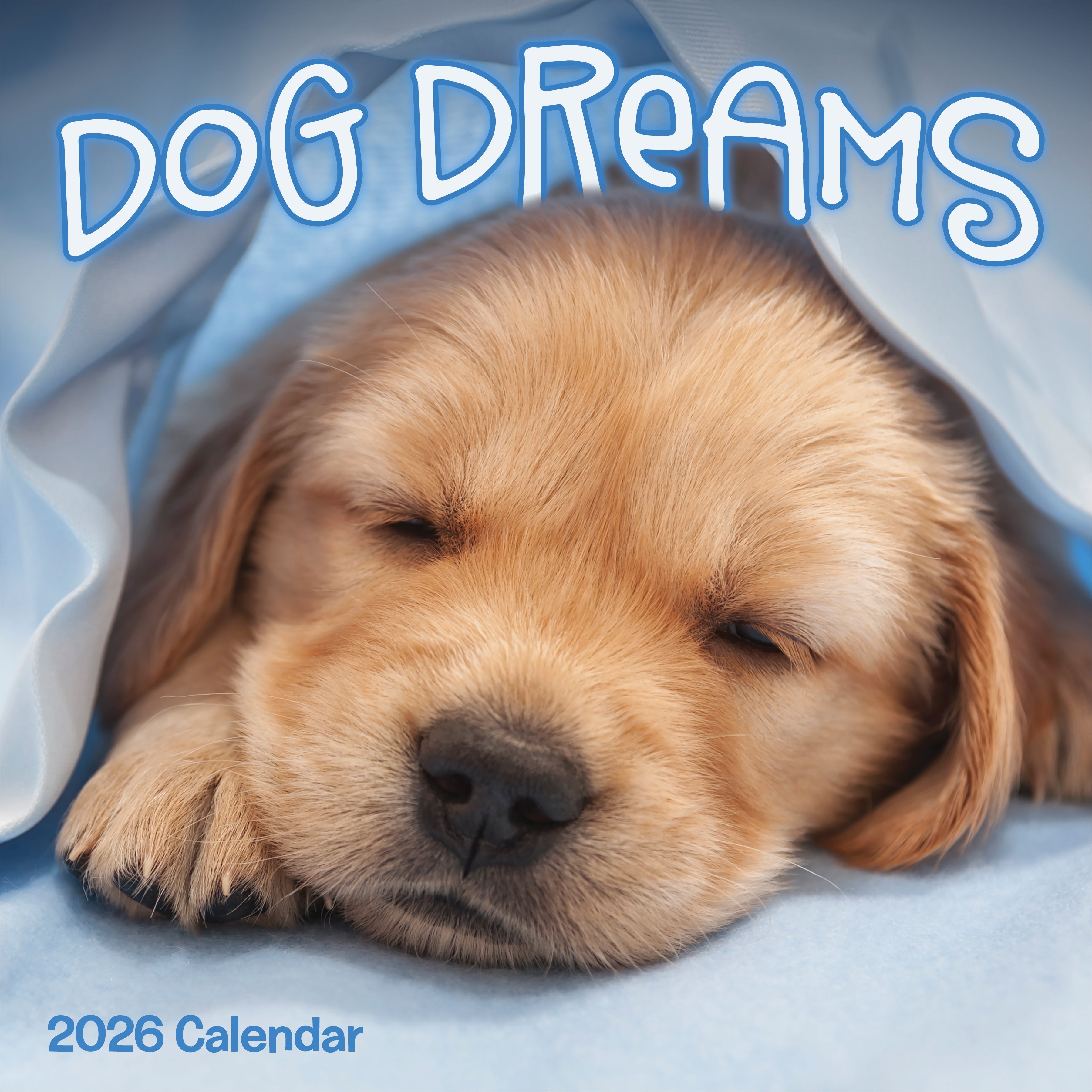 2026 Dog Dreams - Square Wall Calendar