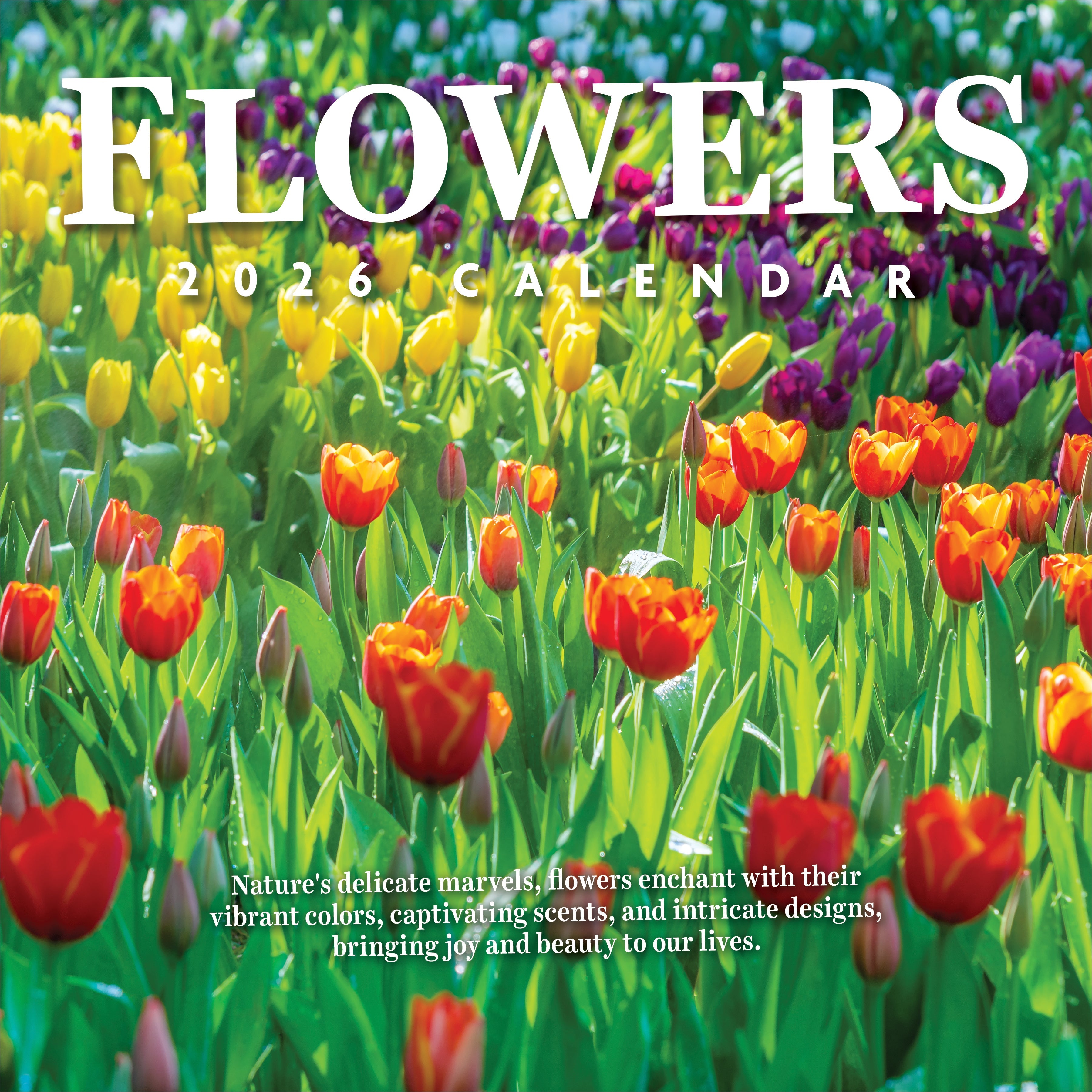 2026 Flowers - Square Wall Calendar