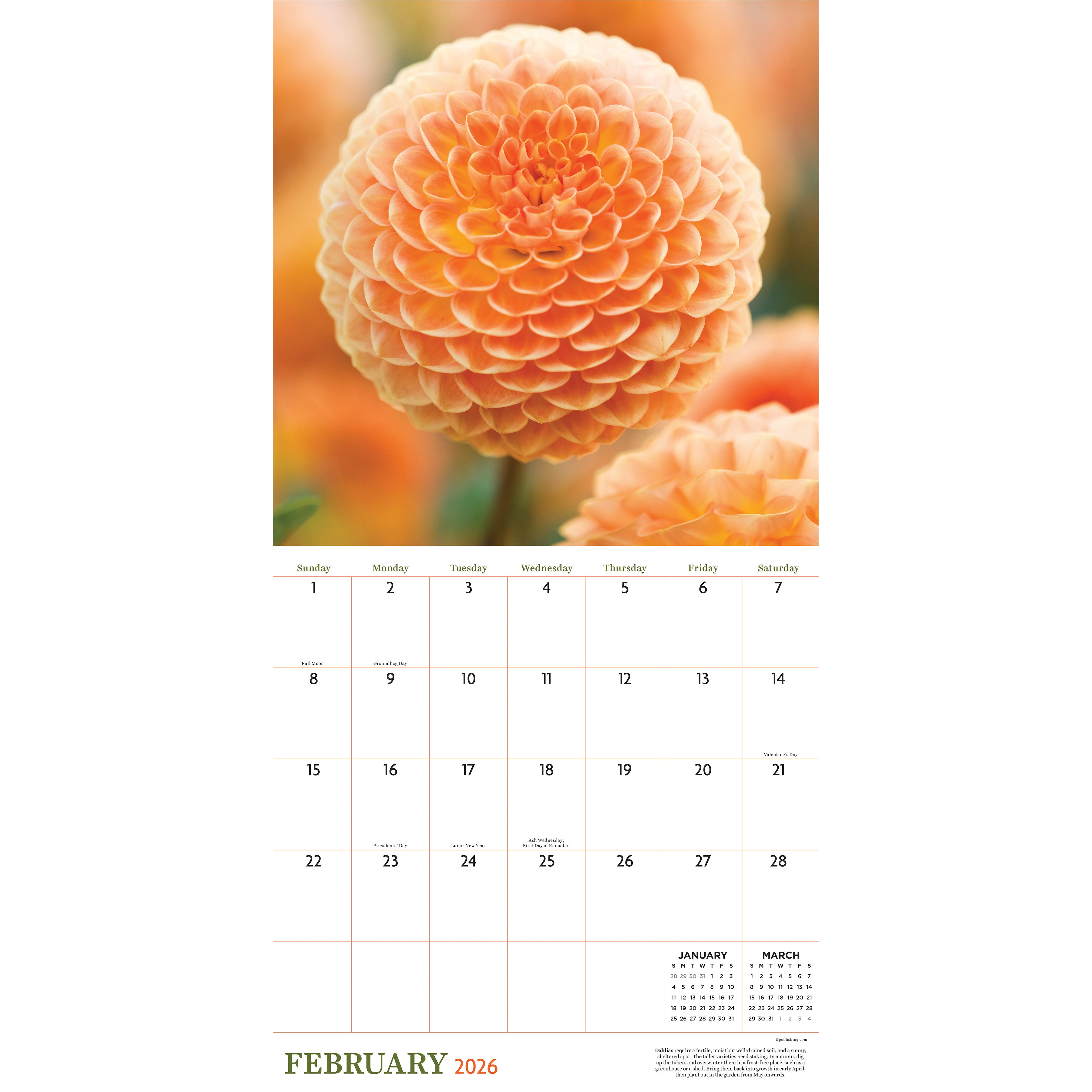 2026 Flowers - Square Wall Calendar