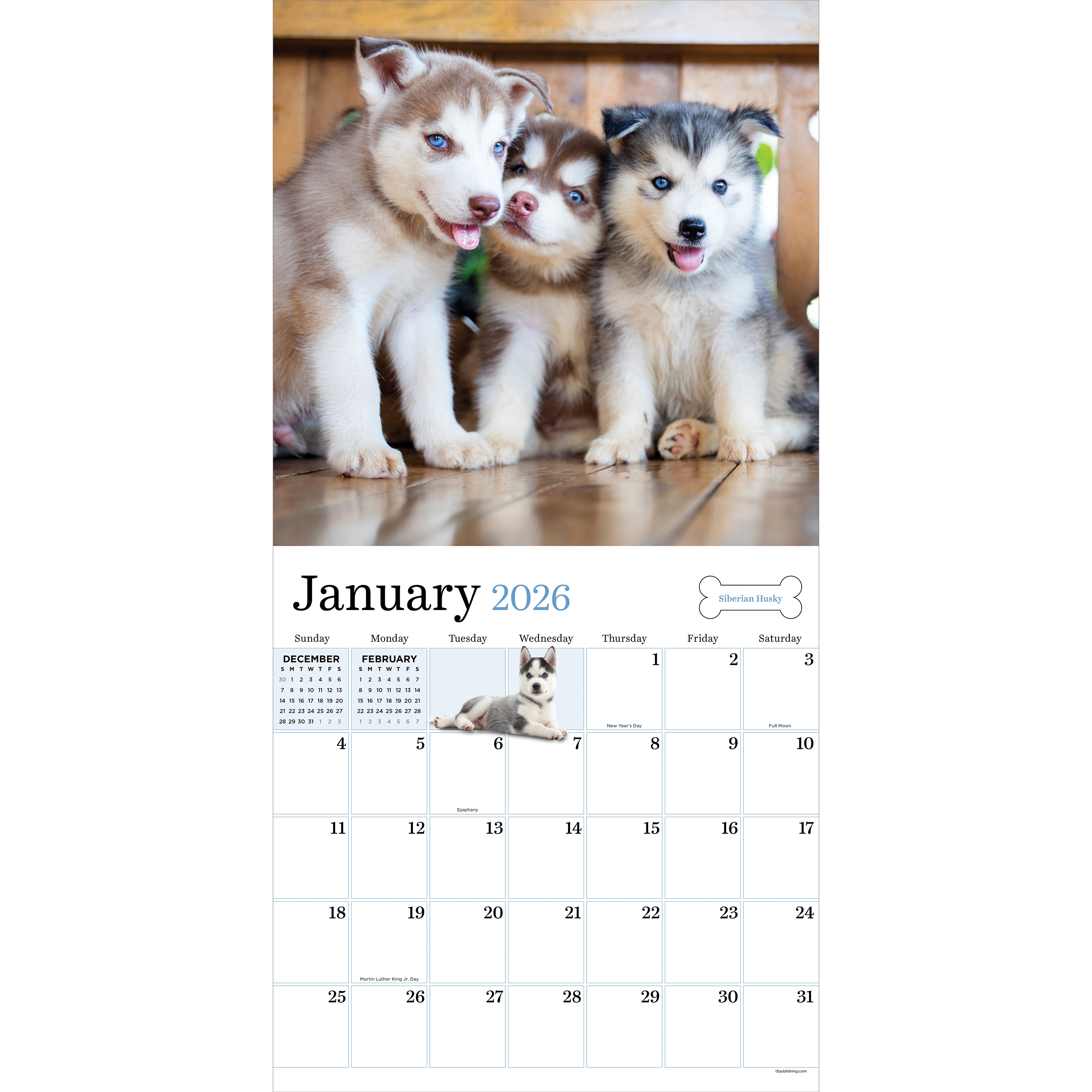 2026 Puppies - Square Wall Calendar