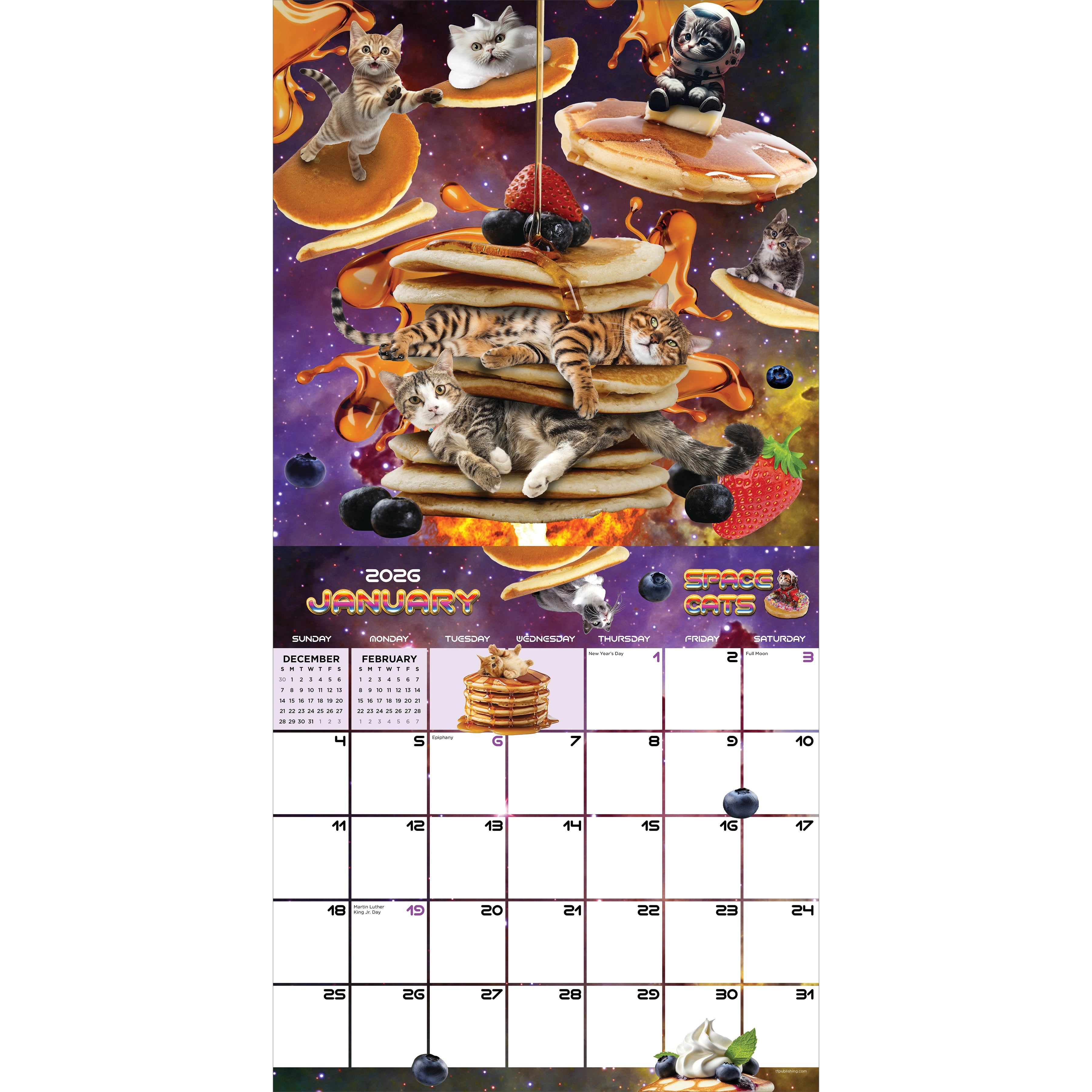 2026 Space Cats - Square Wall Calendar