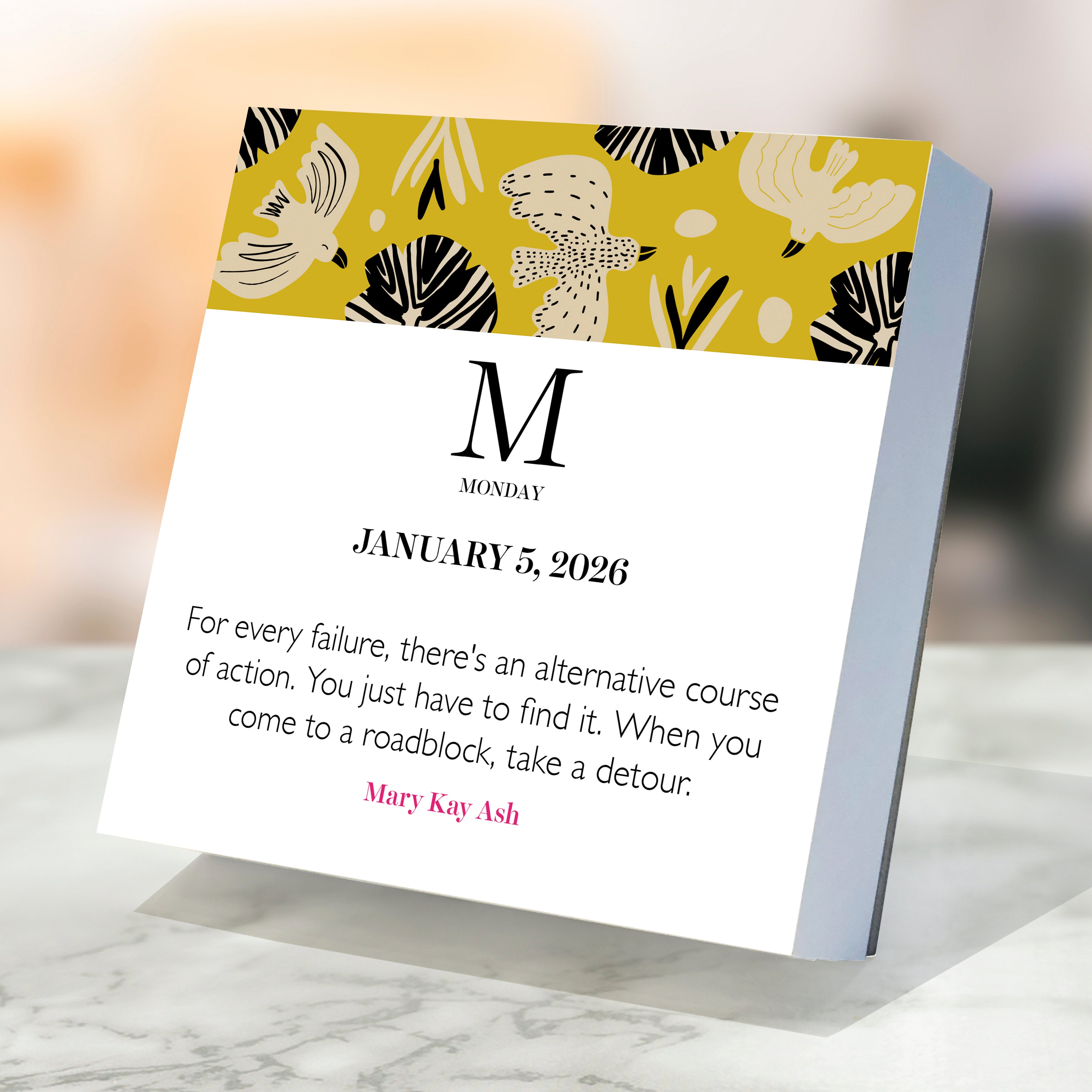 2026 365 Inspiring Women - Daily Boxed Page-A-Day Calendar