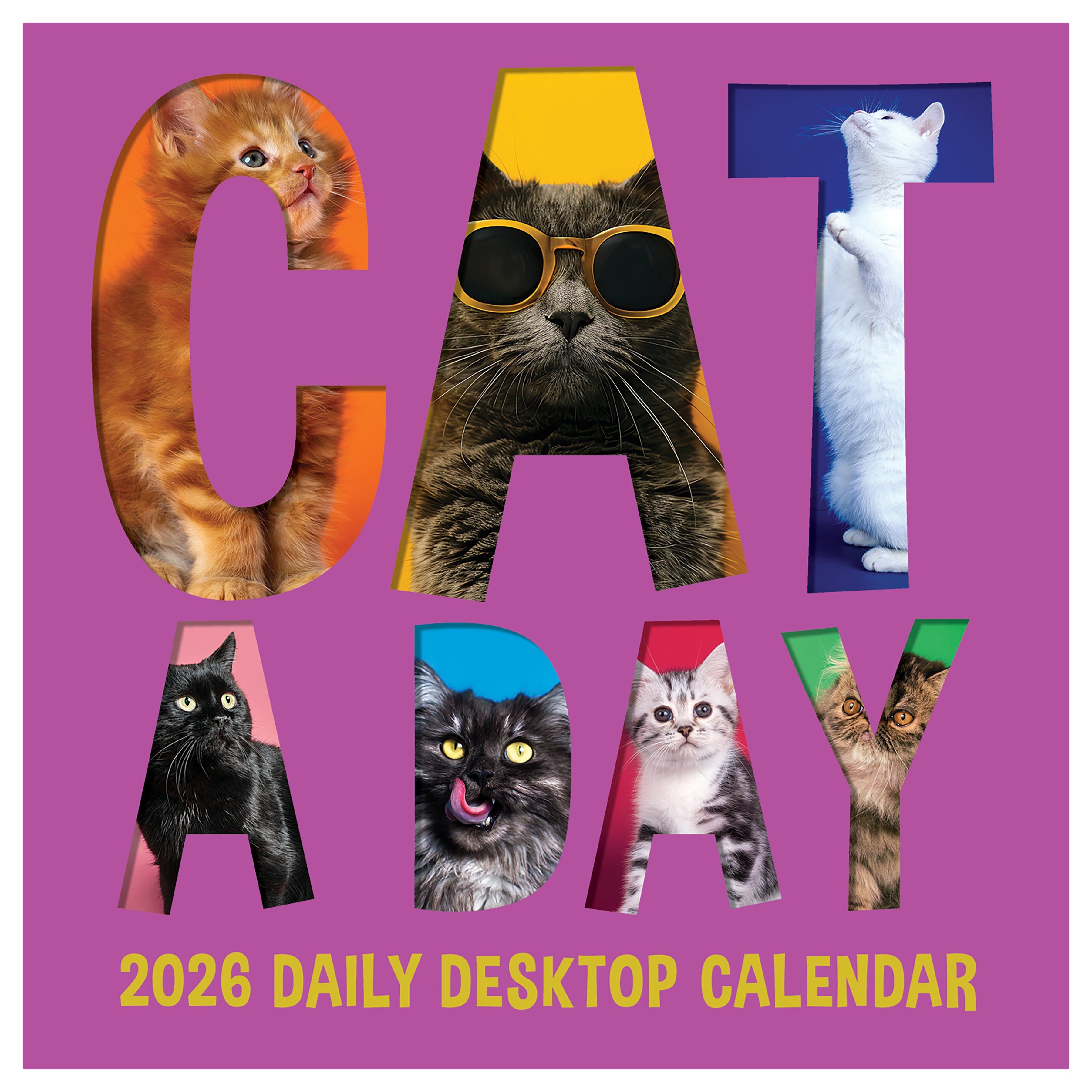 2026 Cat A Day - Daily Boxed Page-A-Day Calendar