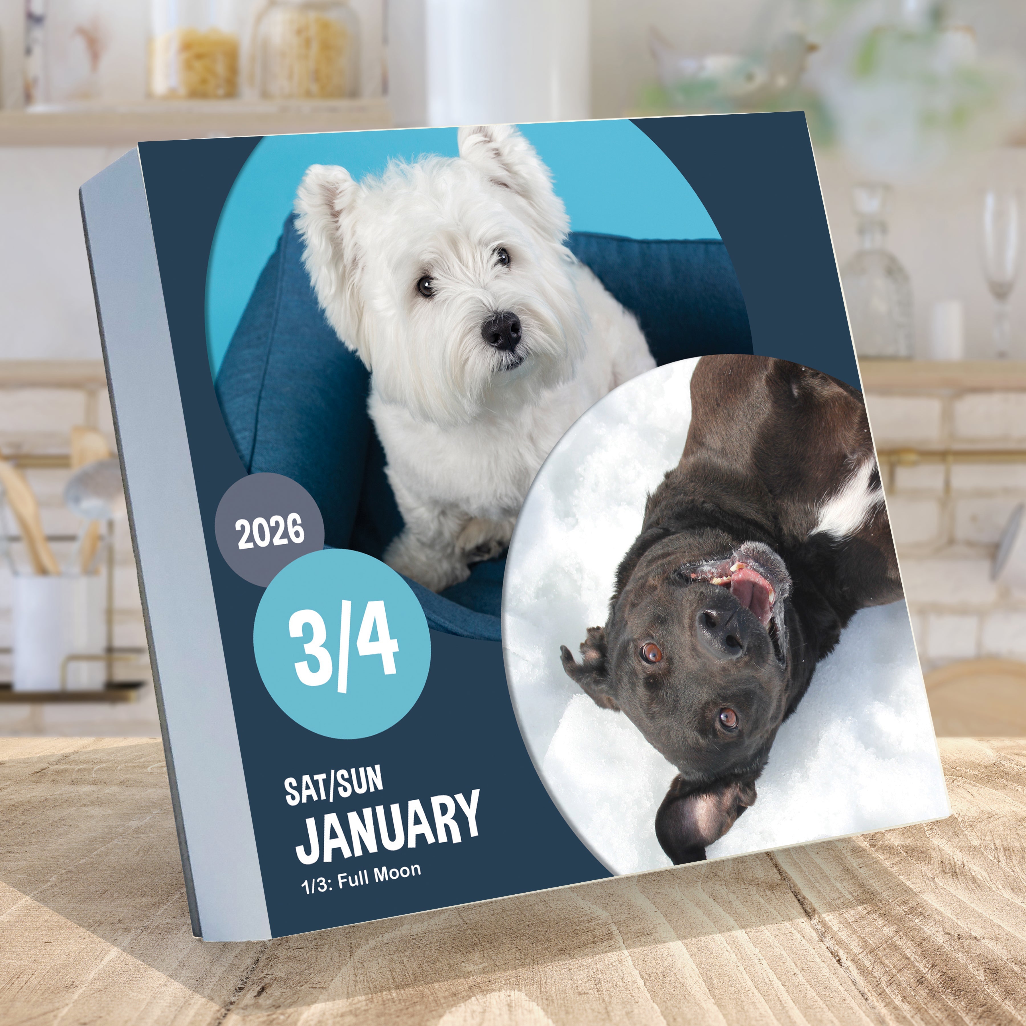 2026 Dog A Day - Daily Boxed Page-A-Day Calendar