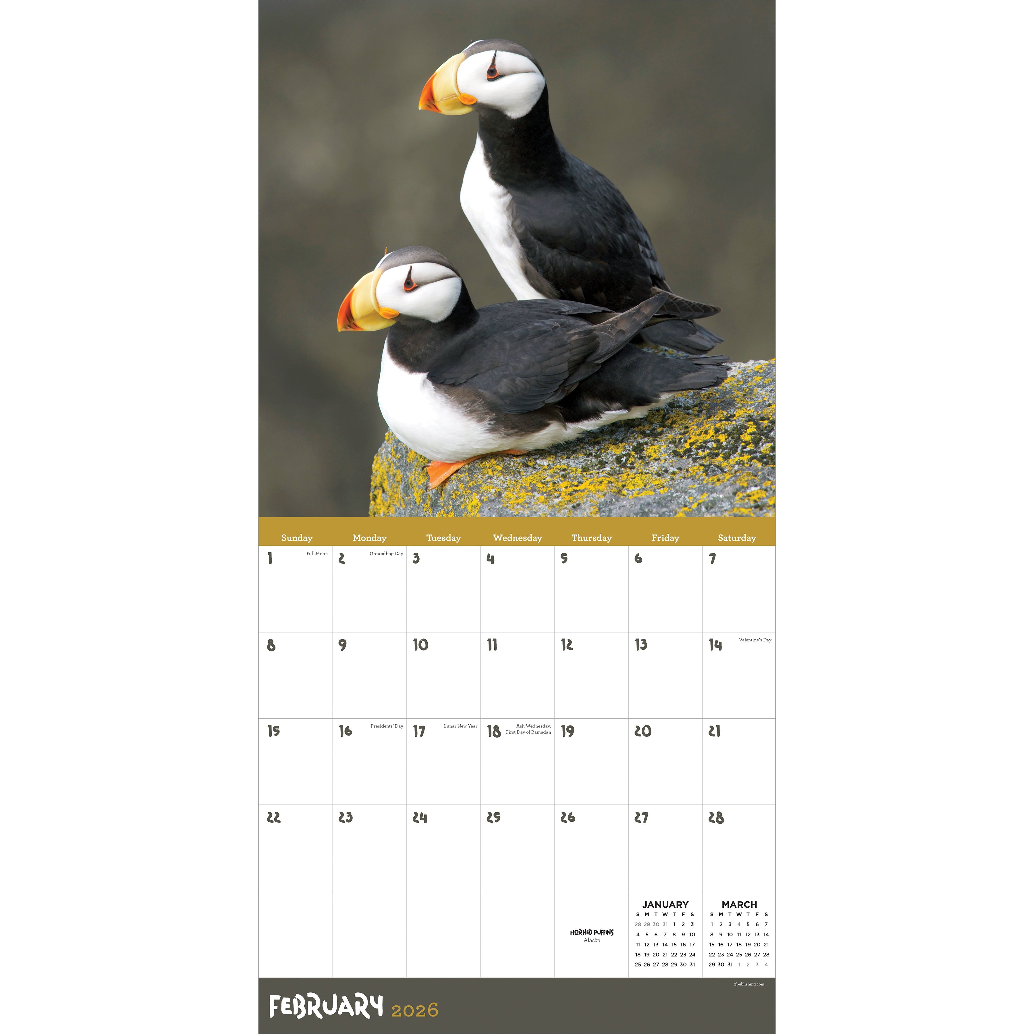2026 Wild - Square Wall Calendar