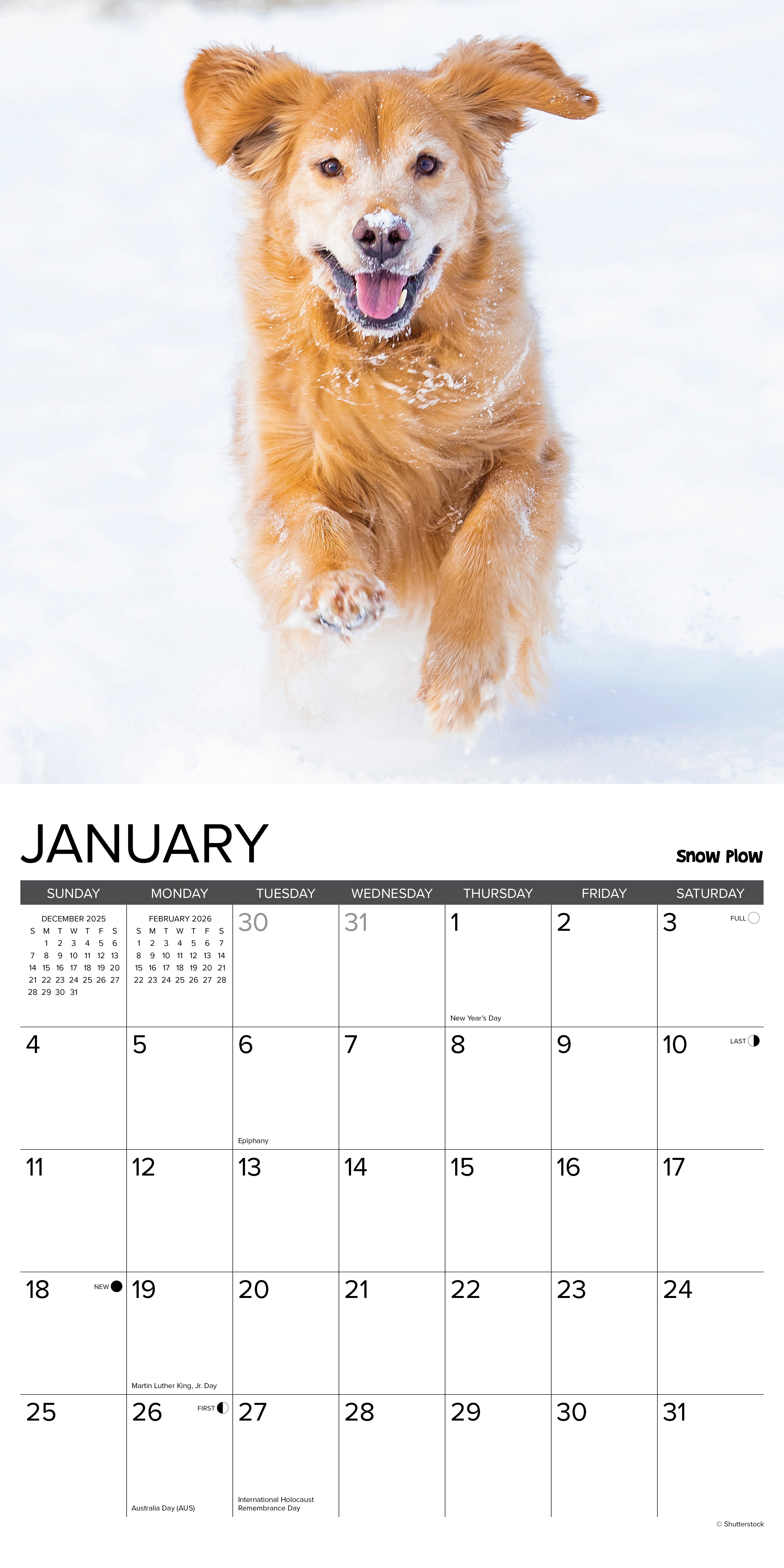 2026 12 Uses for a Golden - Square Wall