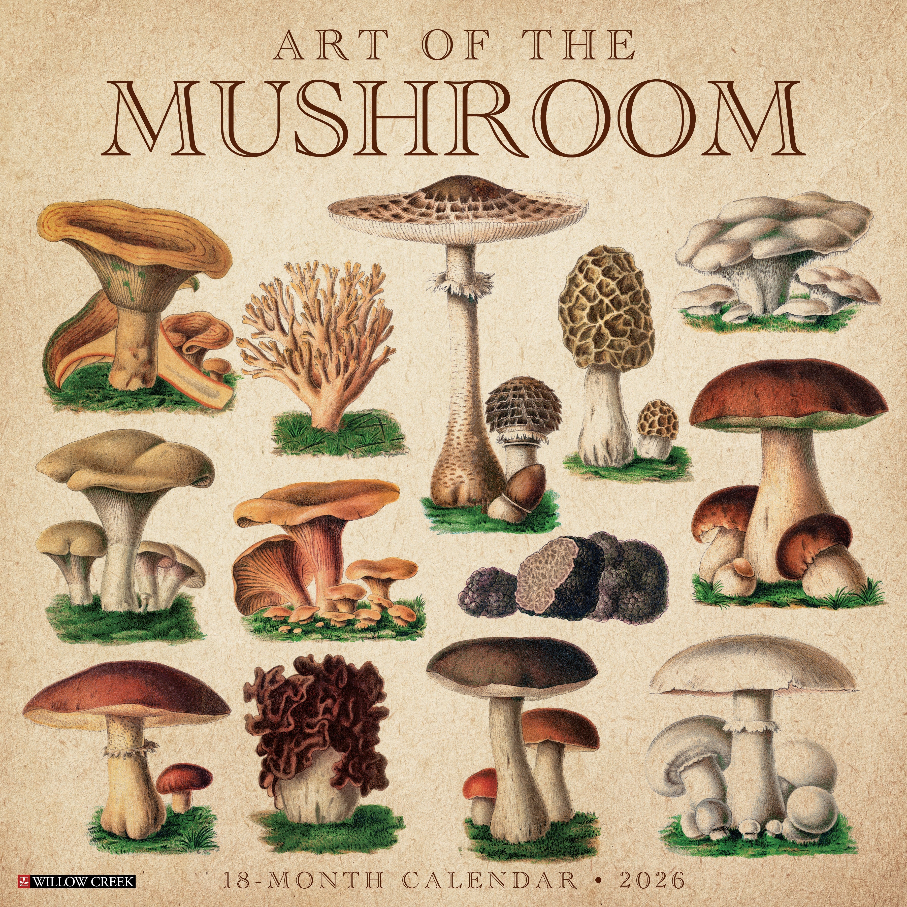 2026 Art of the Mushroom - Square Wall