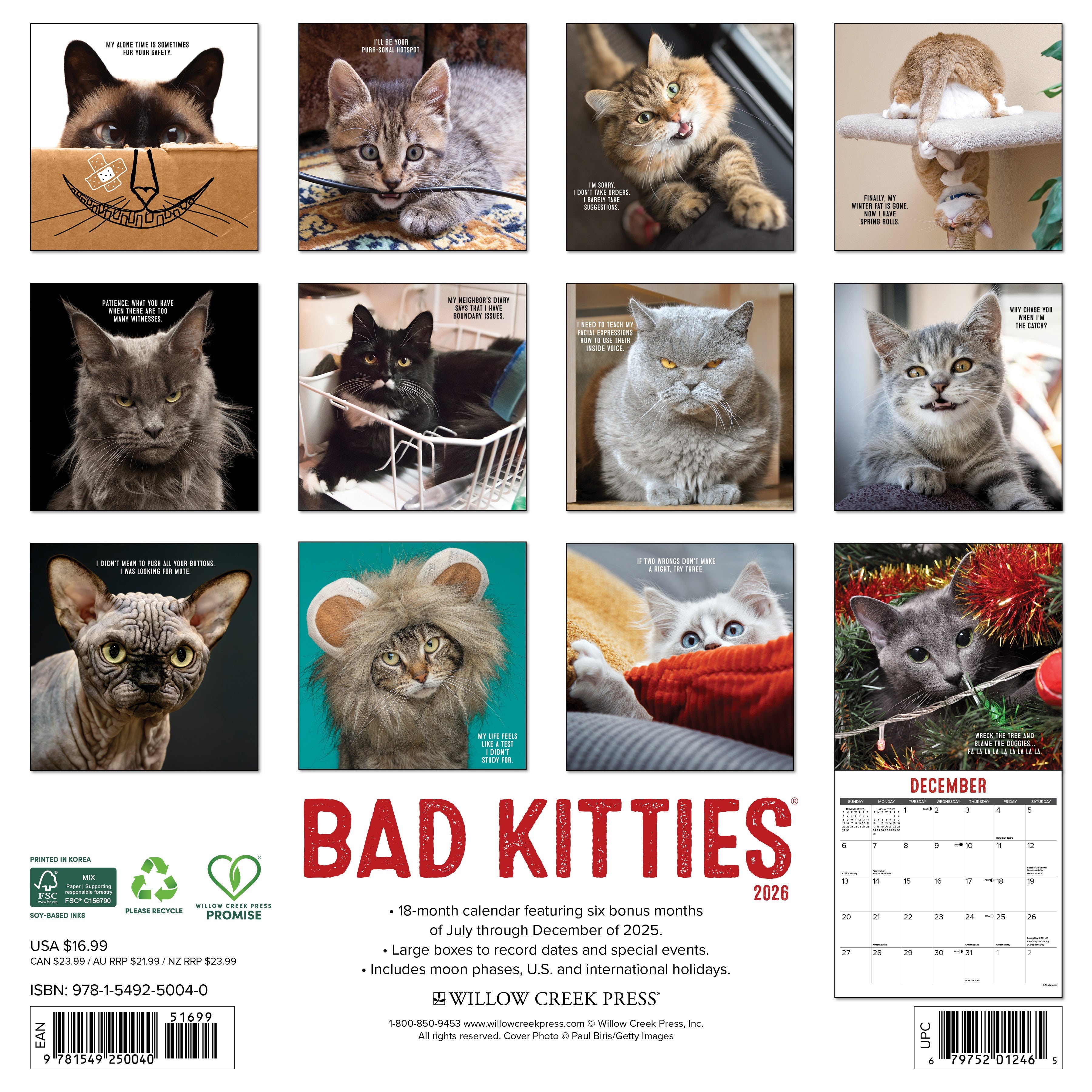 2026 Bad Kitties - Square Wall