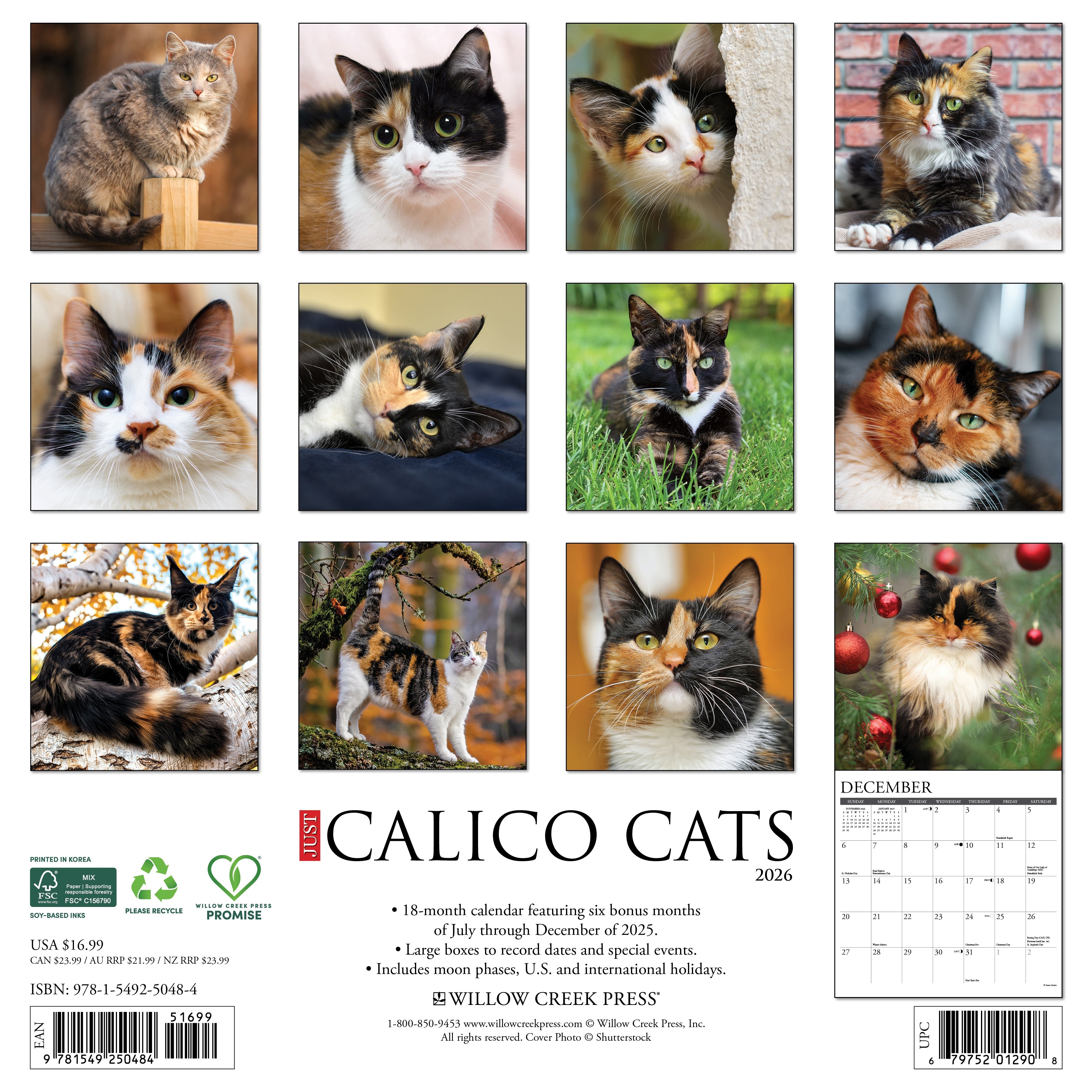 2026 Calico Cats - Square Wall