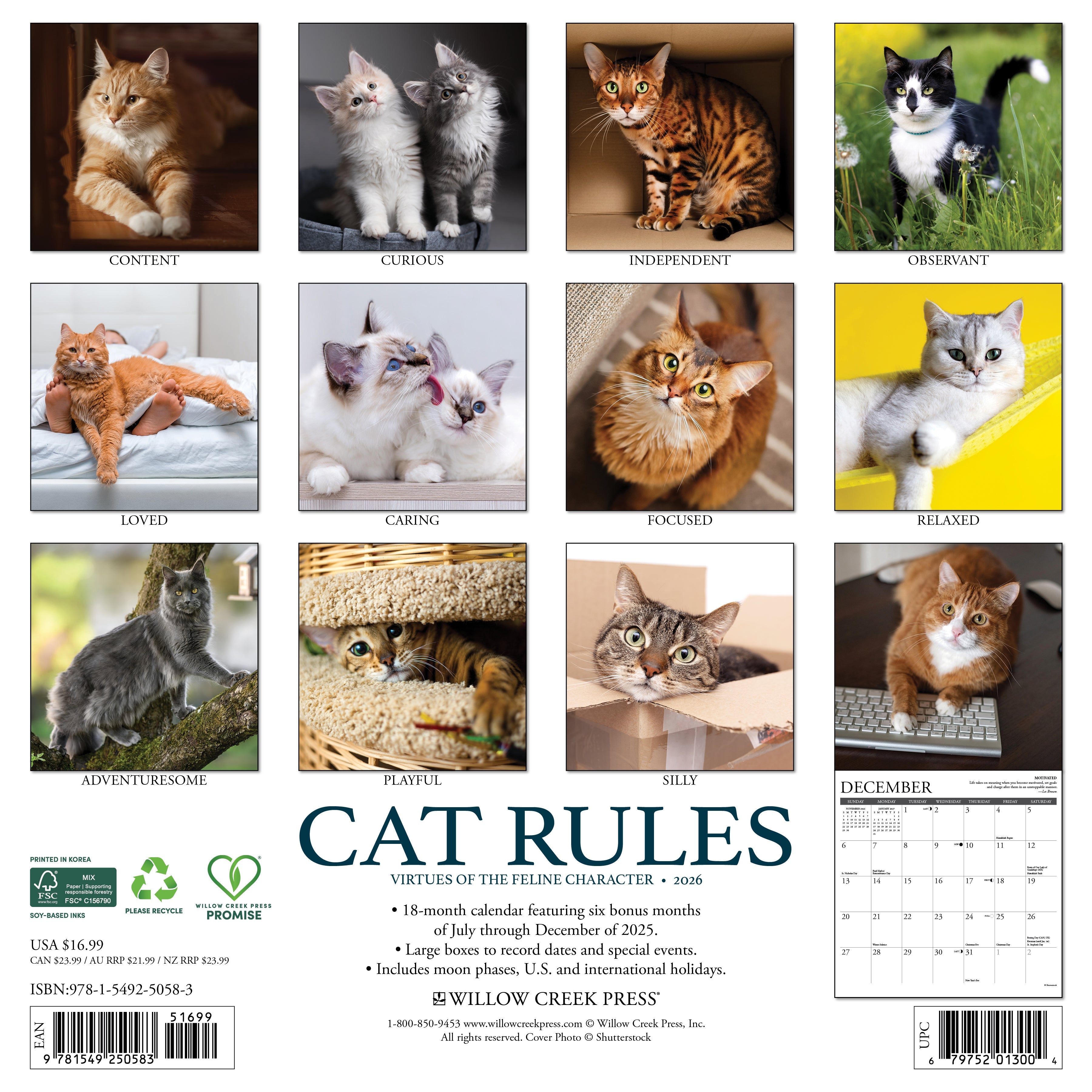 2026 Cat Rules - Square Wall