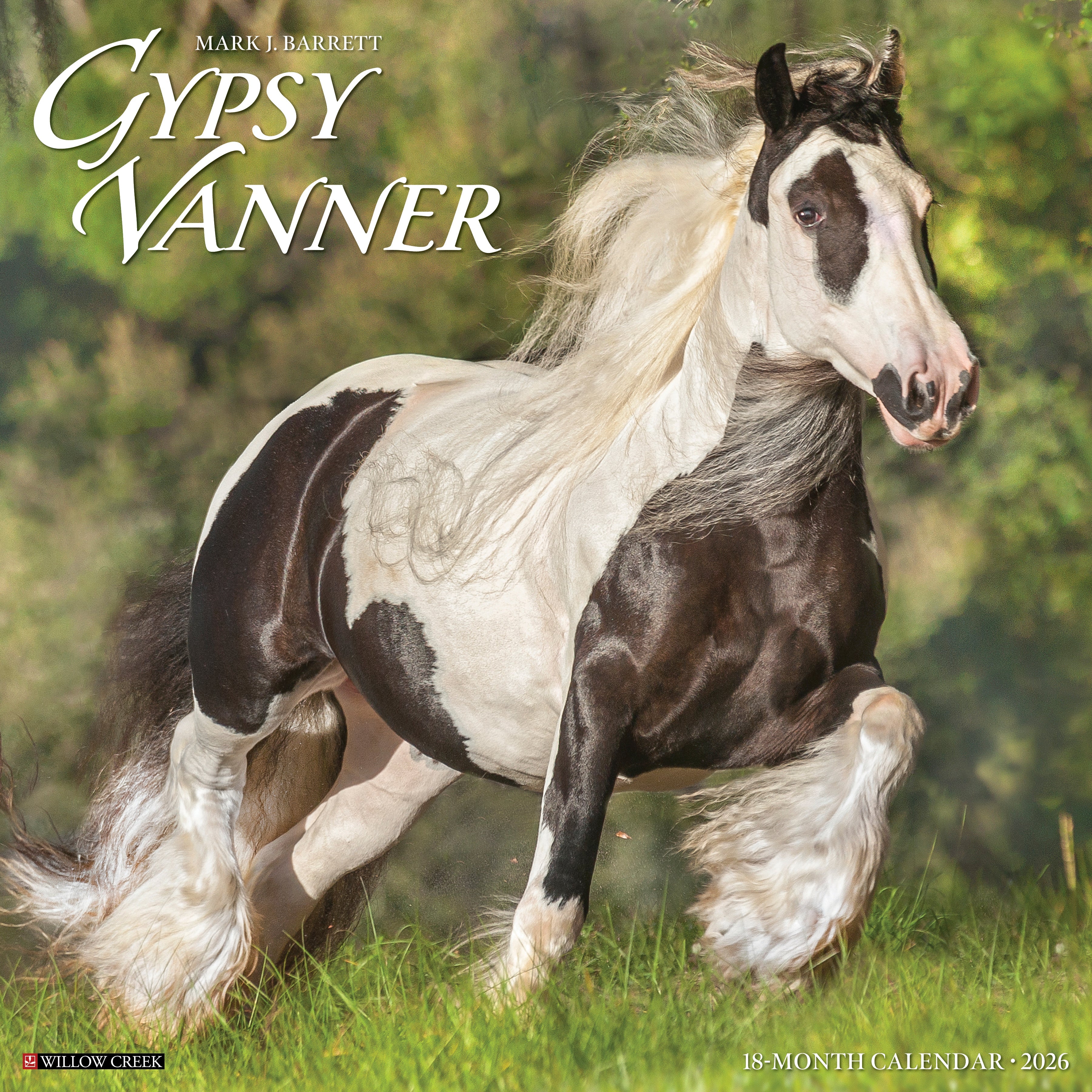 2026 Gypsy Vanner - Square Wall