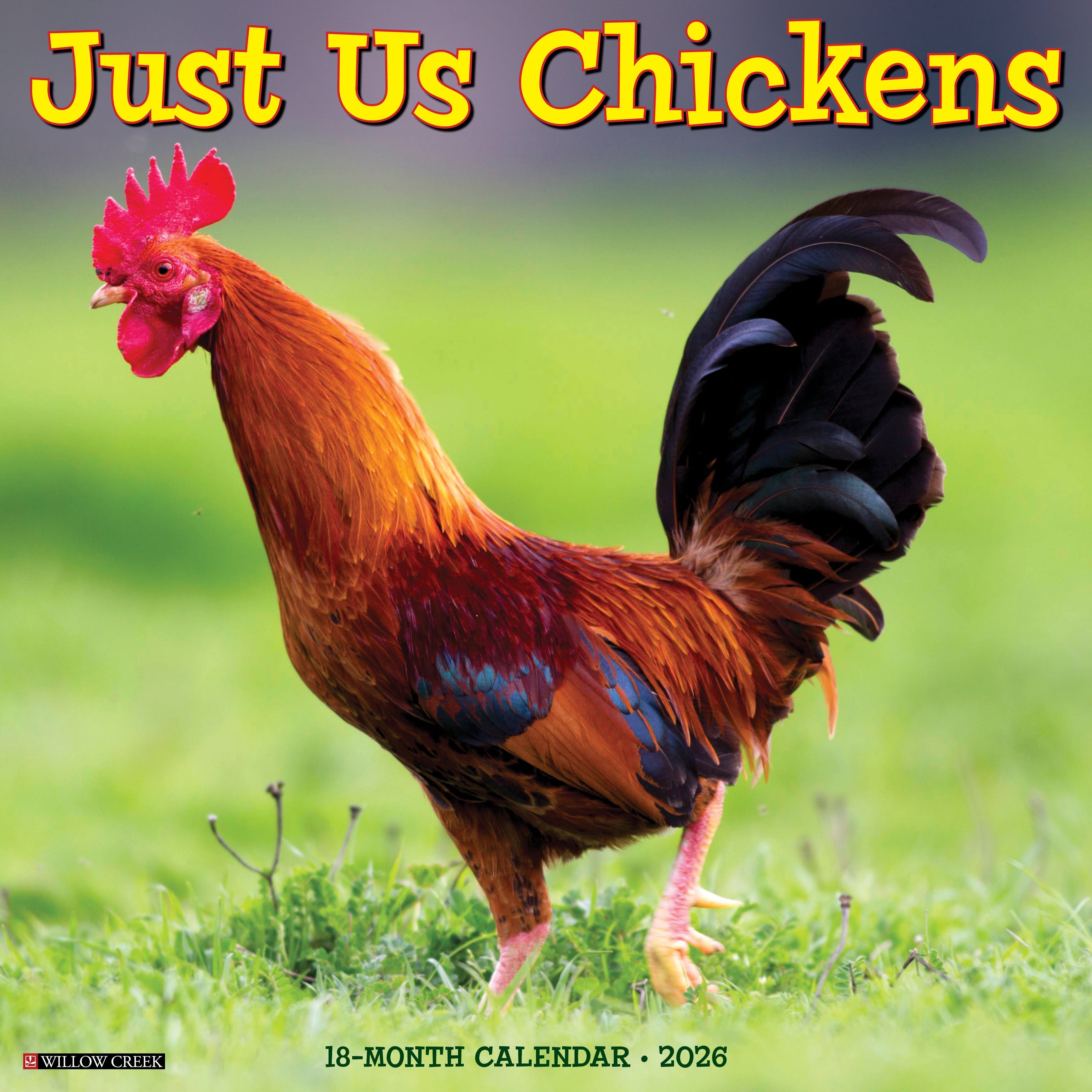 2026 Just Us Chickens - Square Wall