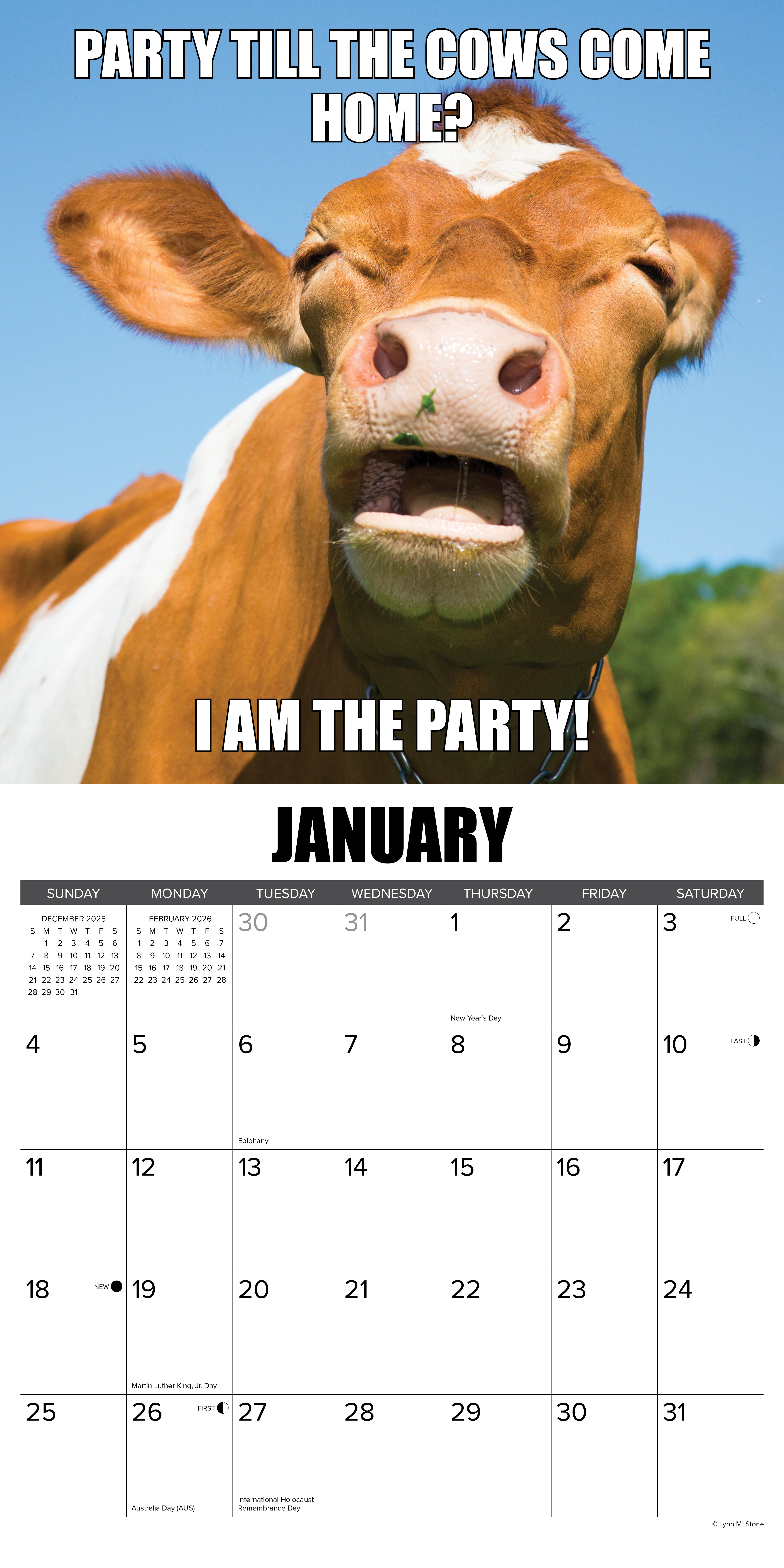 2026 Not in the Mooood - Square Wall