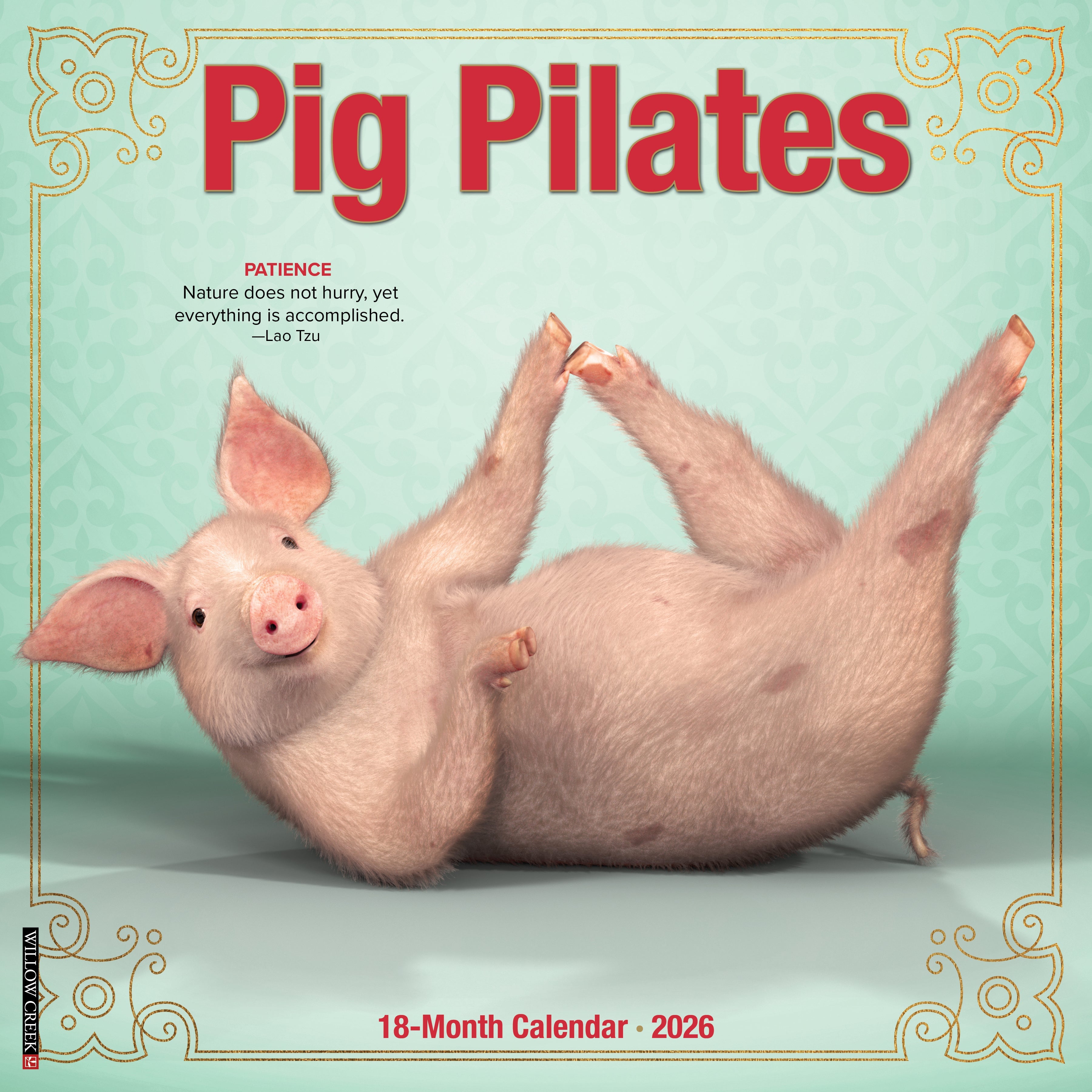 2026 Pig Pilates - Square Wall