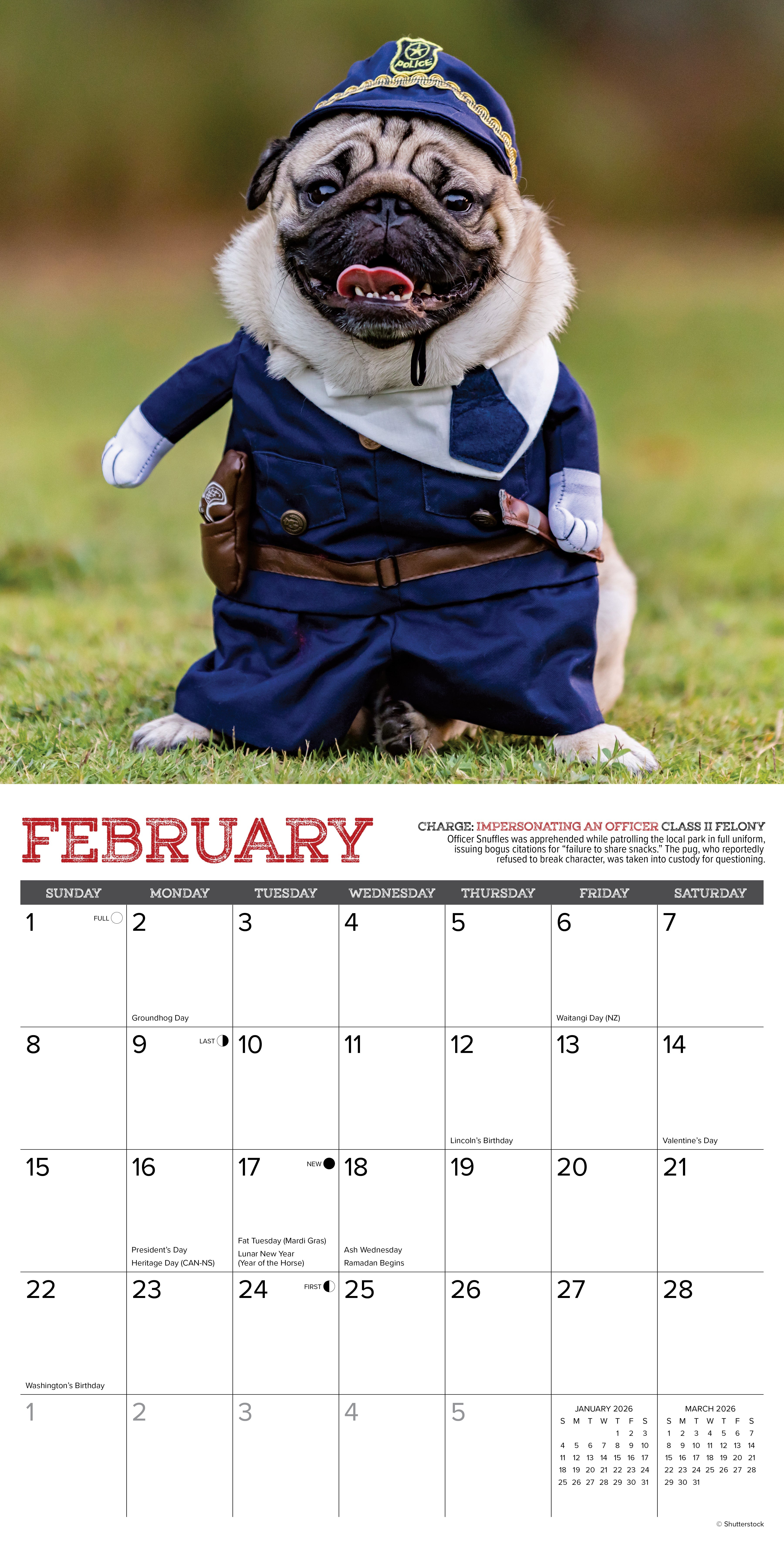 2026 Pug Mugs - Square Wall