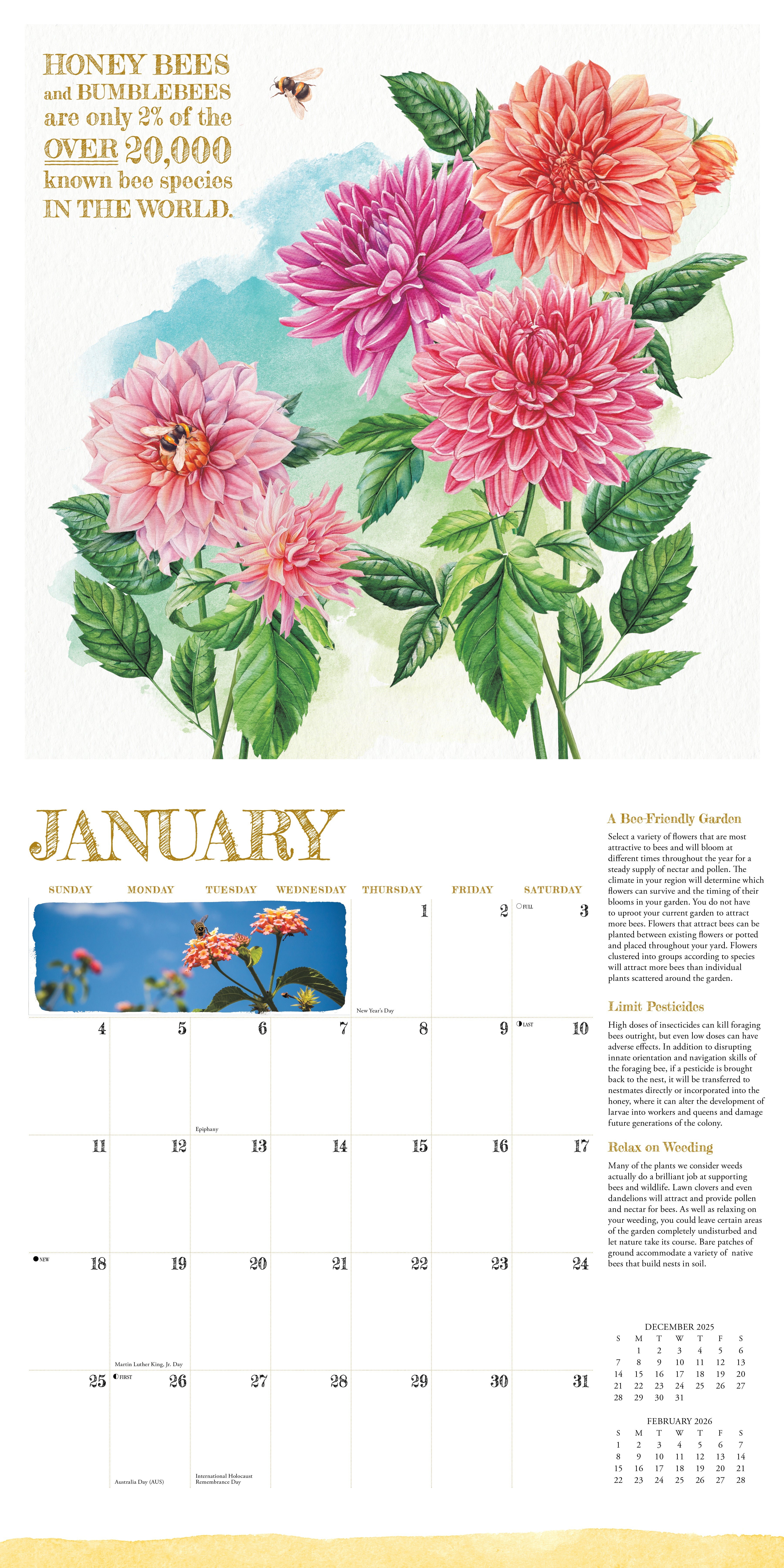 2026 Reasons to Bee - Square Wall