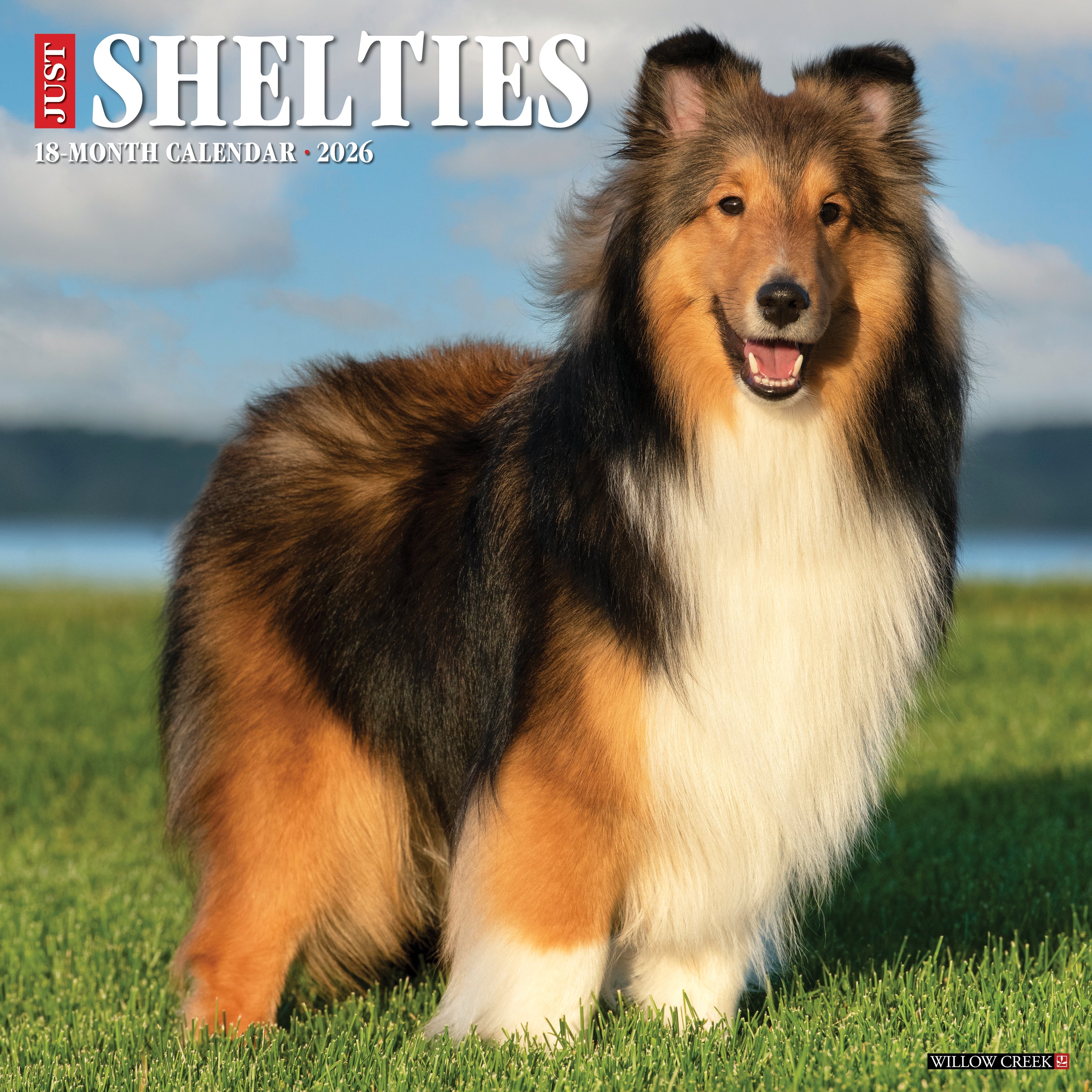 2026 Shelties - Square Wall