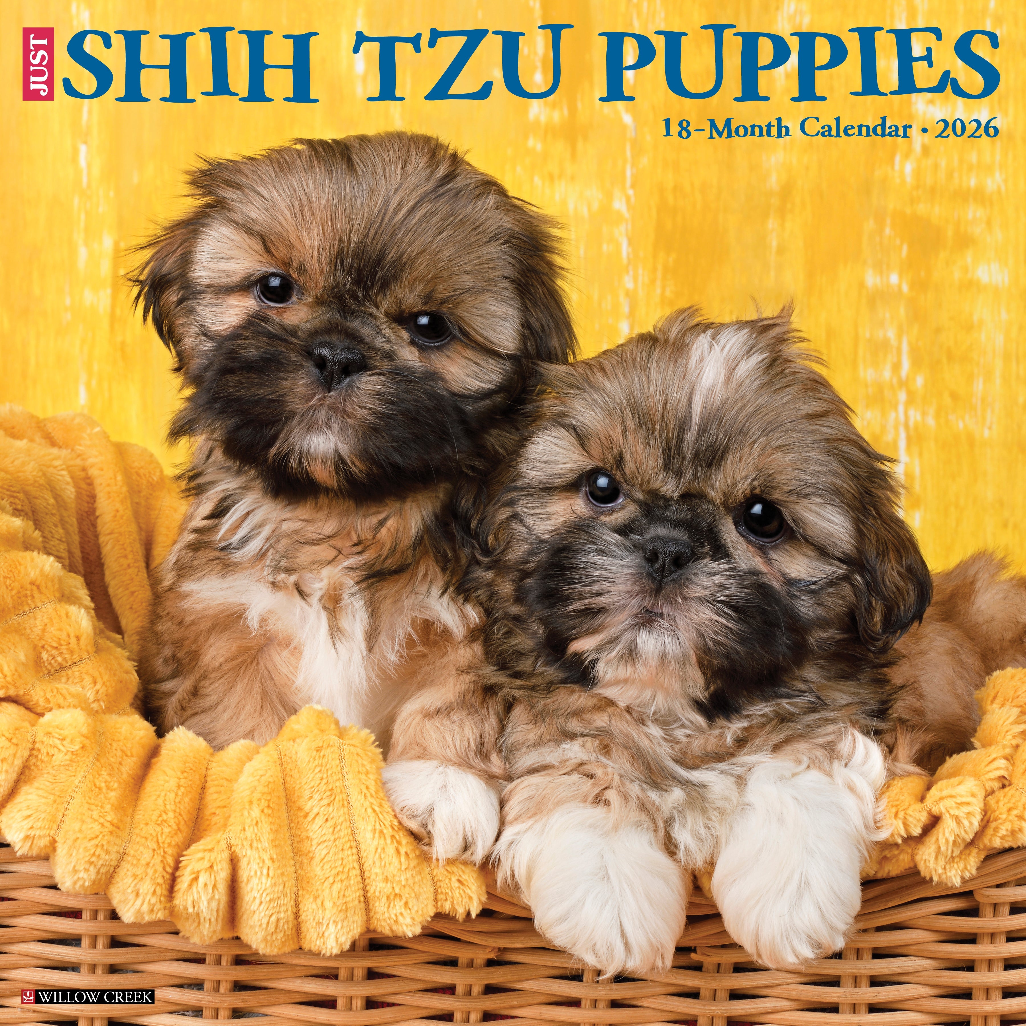 2026 Shih Tzu Puppies - Square Wall
