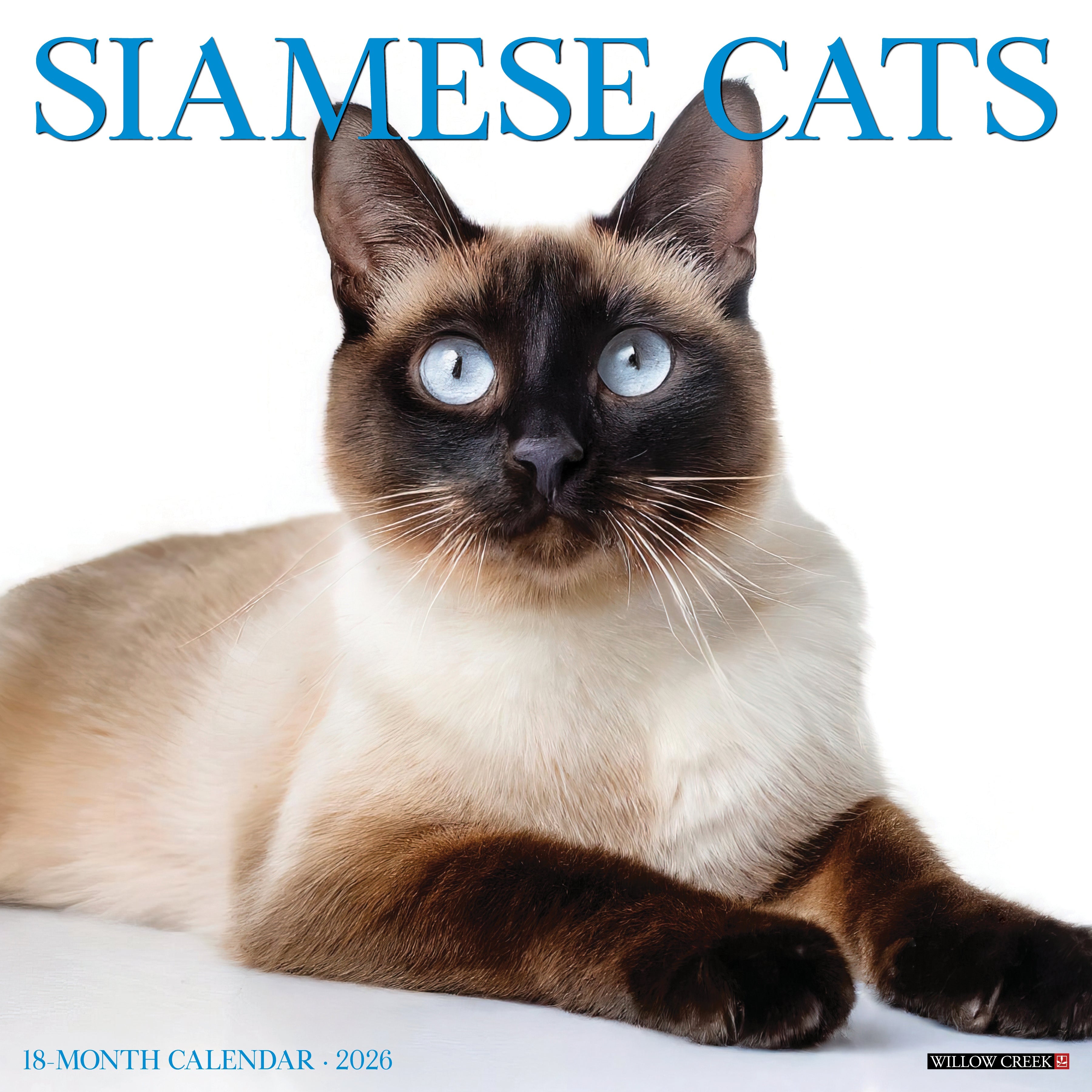 2026 Siamese Cats - Square Wall