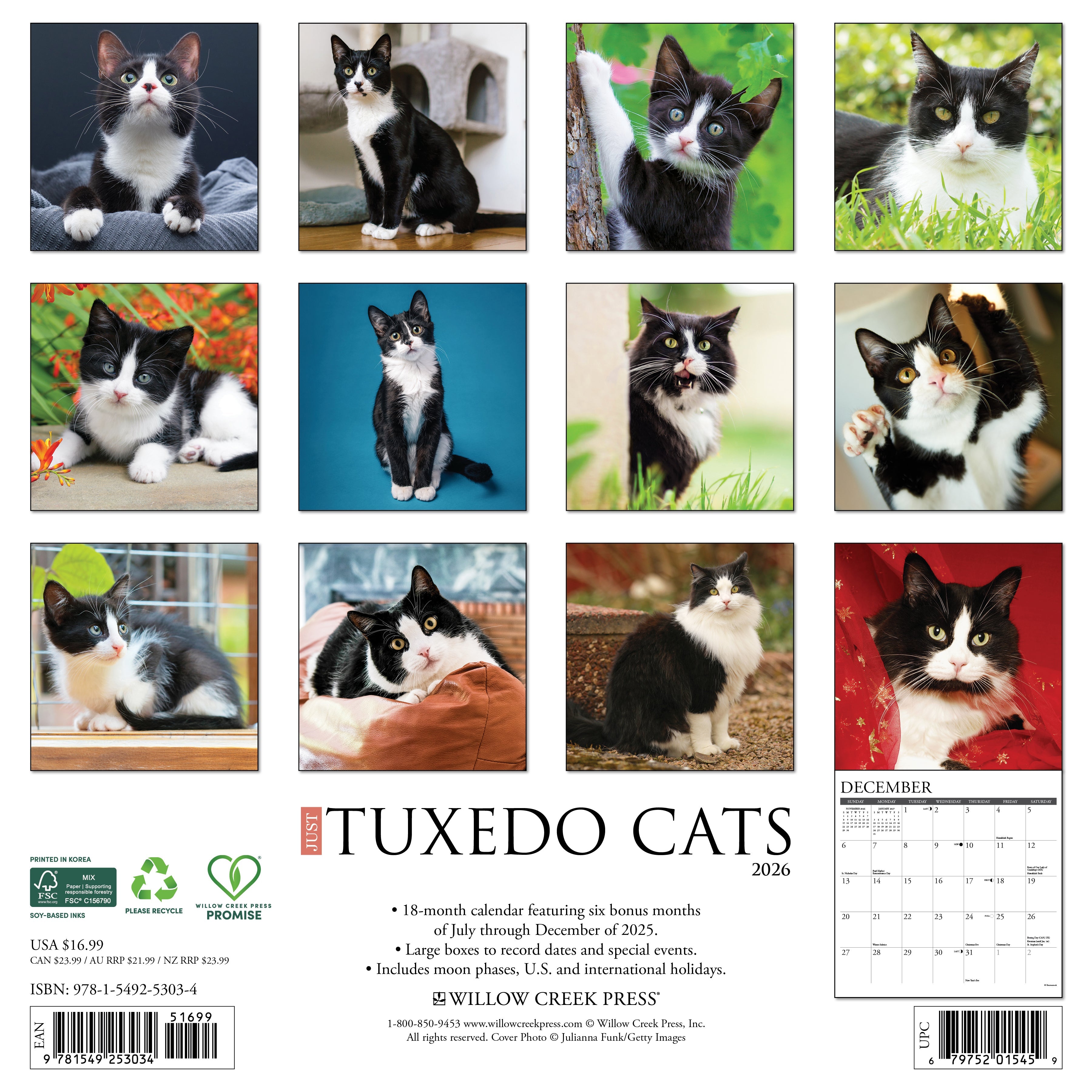 2026 Tuxedo Cats - Square Wall