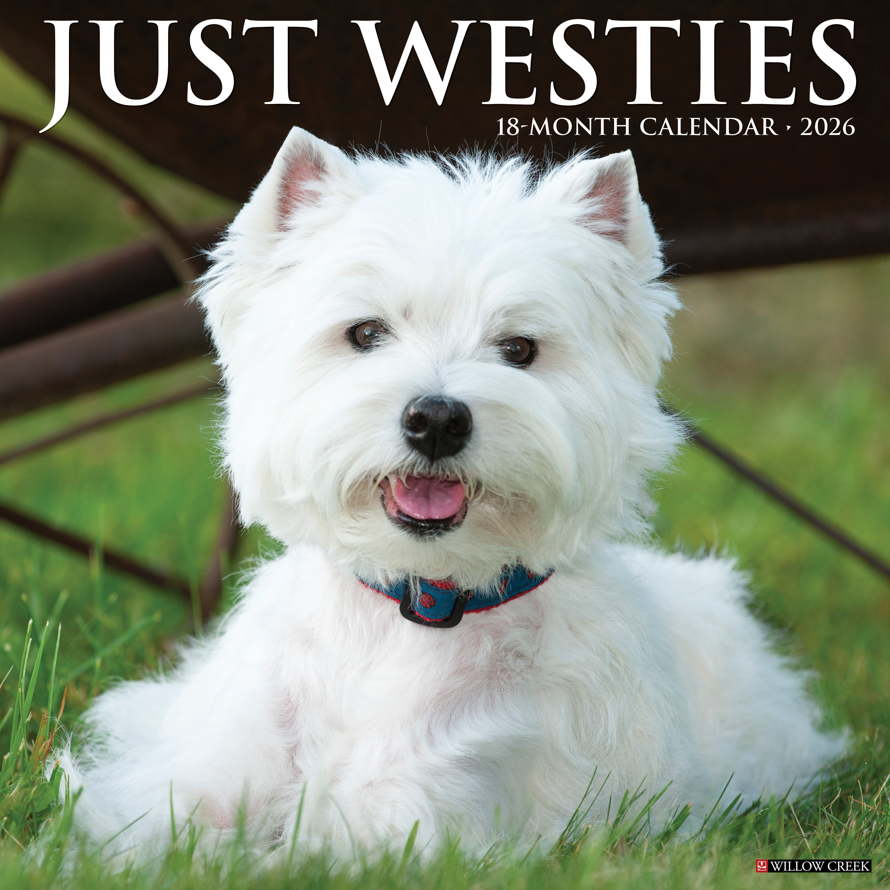 2026 Westies - Square Wall