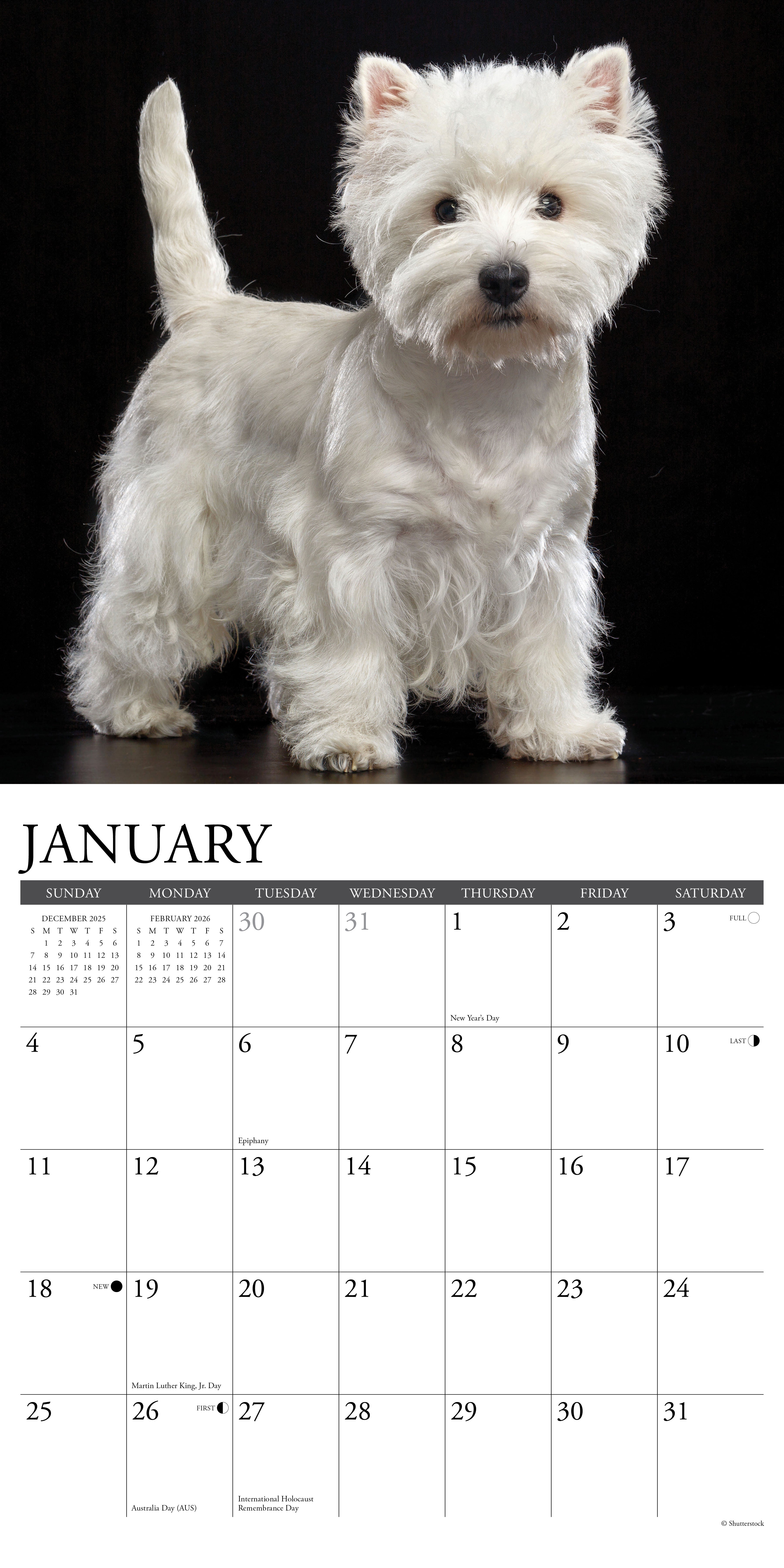 2026 Westies - Square Wall