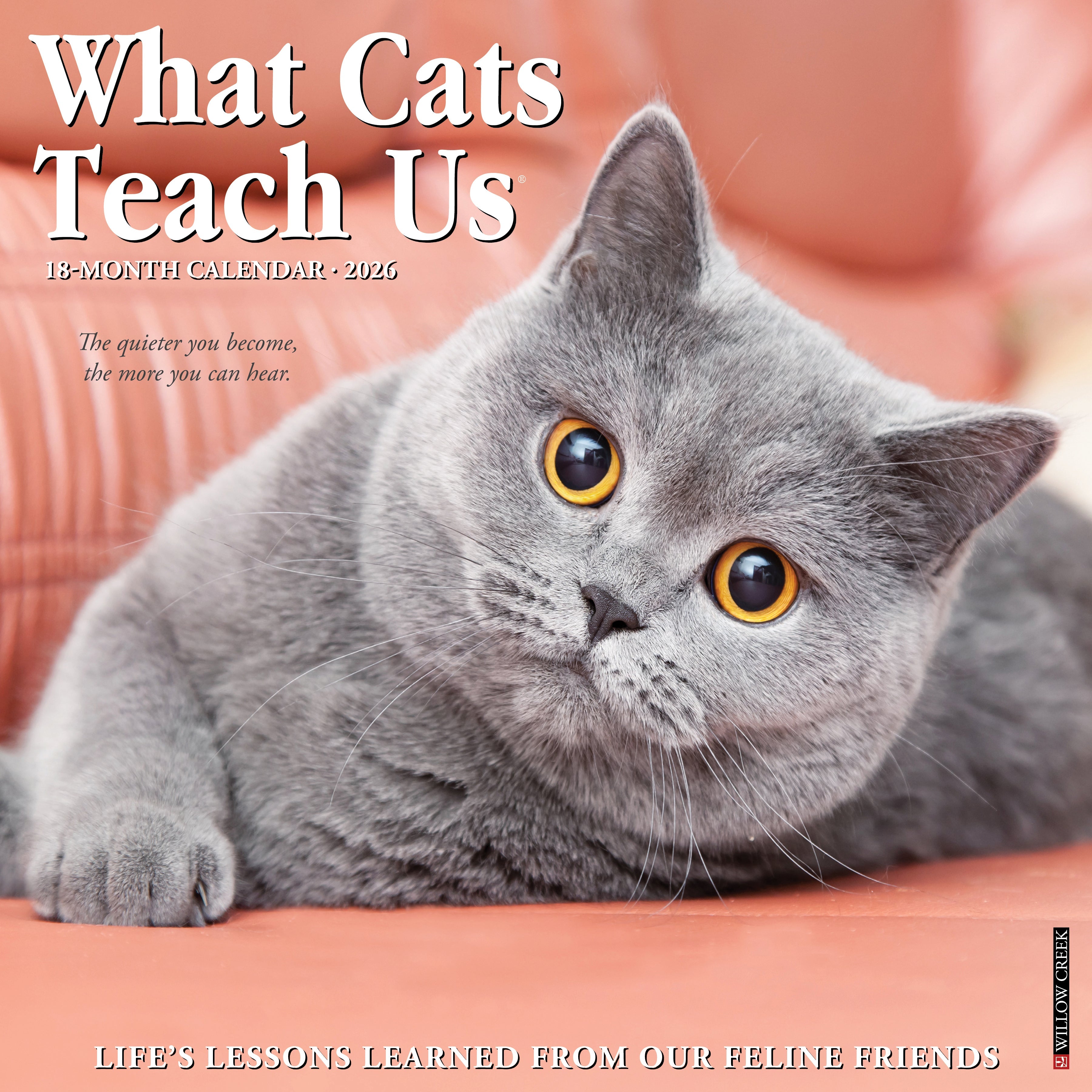 2026 What Cats Teach Us - Square Wall
