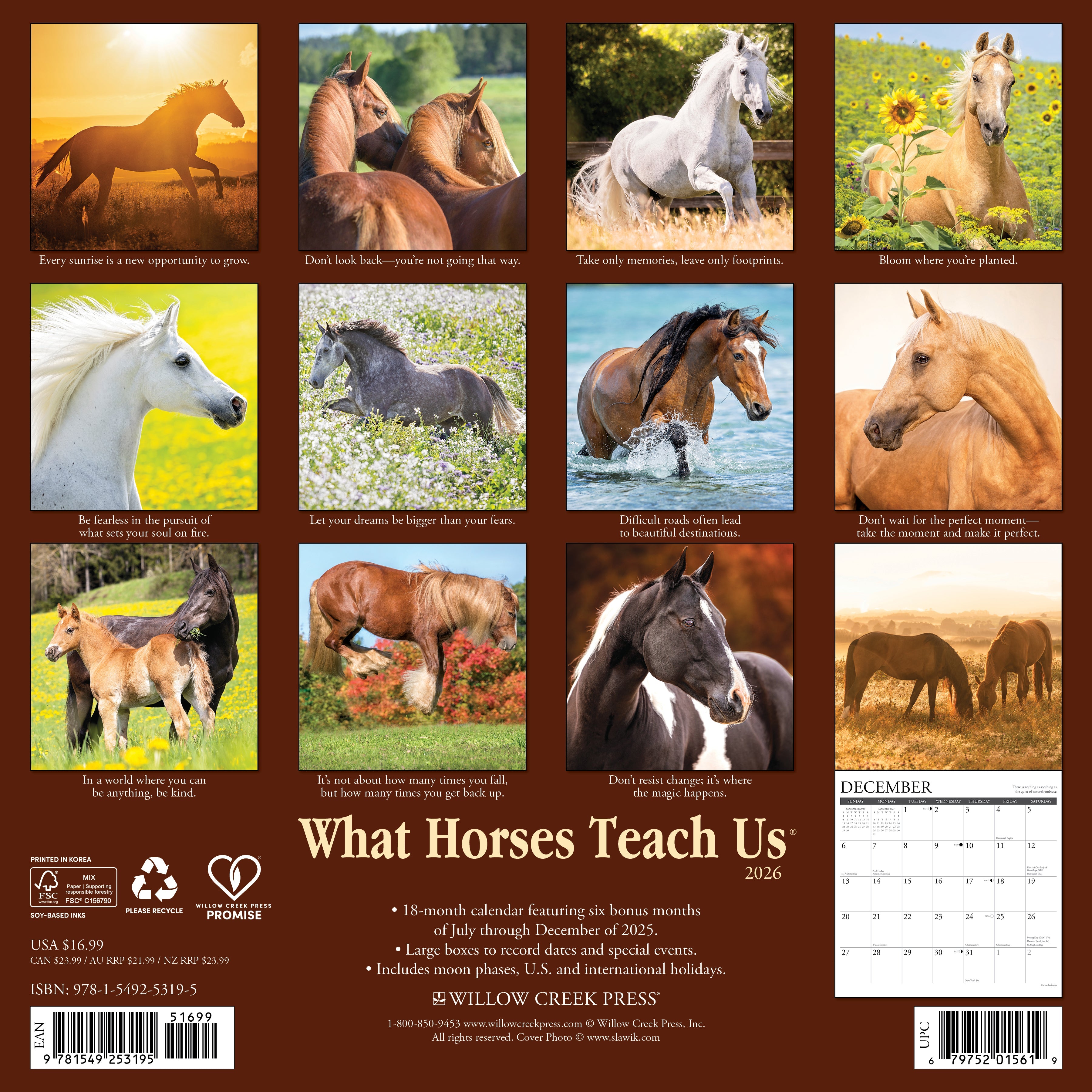 2026 What Horses Teach Us - Square Wall