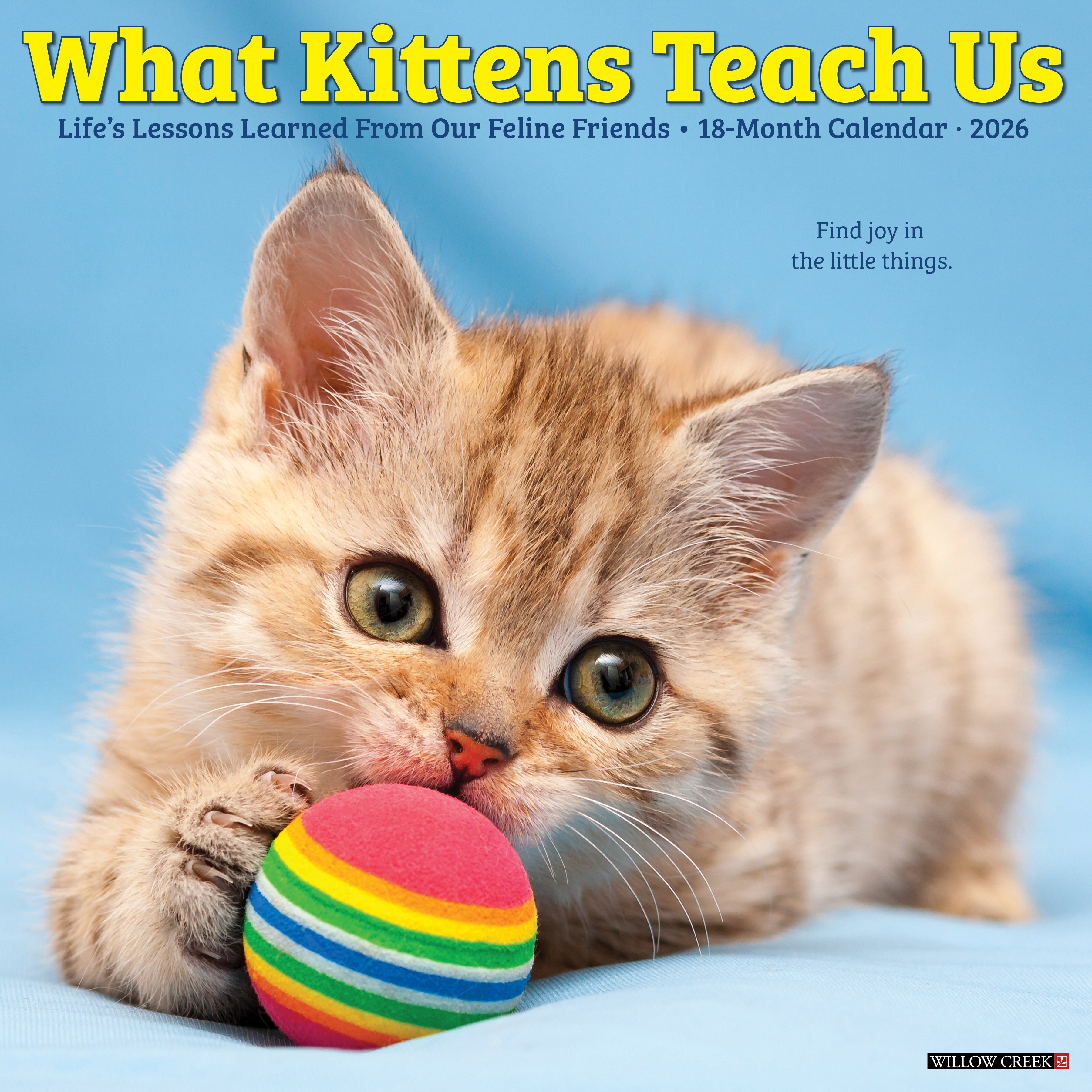 2026 What Kittens Teach Us - Square Wall