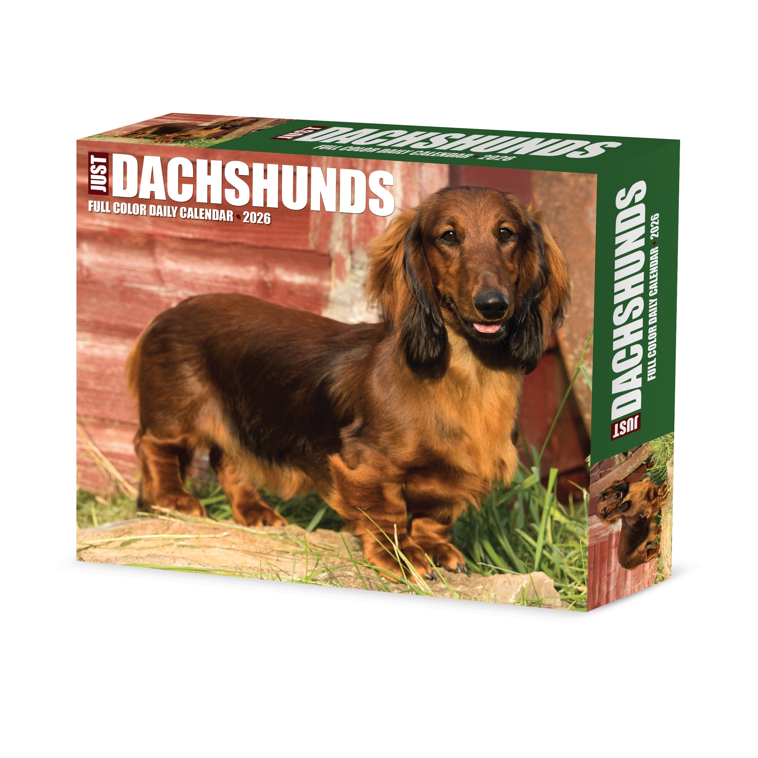 2026 Dachshunds - Boxed Page-A-Day