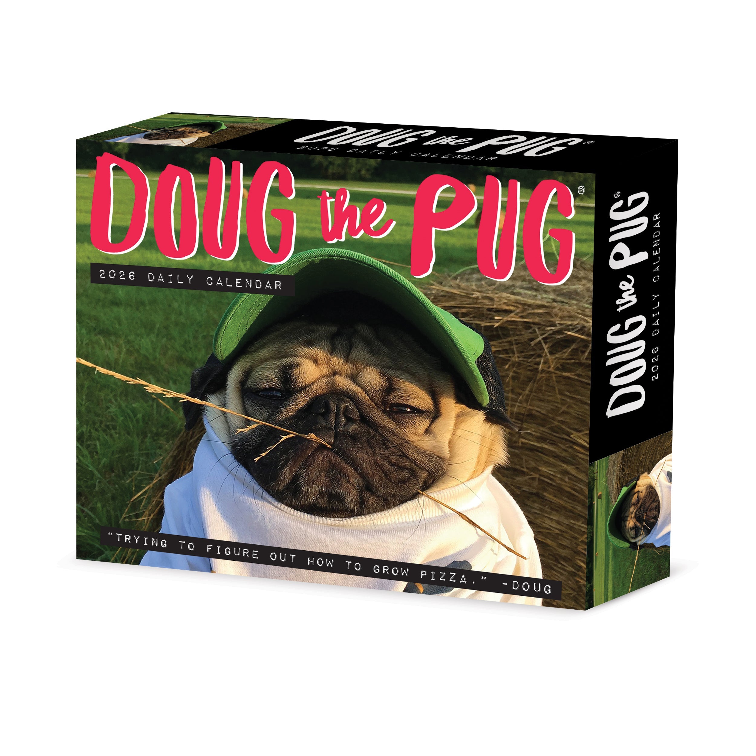 2026 Doug the Pug -USA - Boxed Page-A-Day