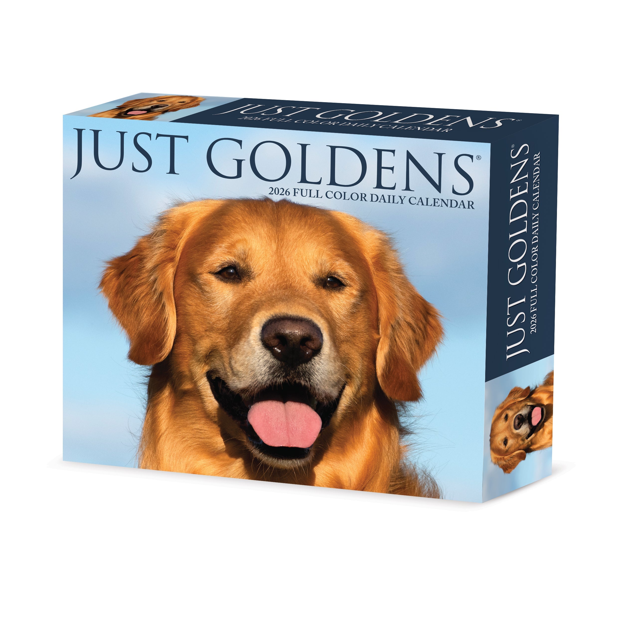 2026 Goldens - Boxed Page-A-Day