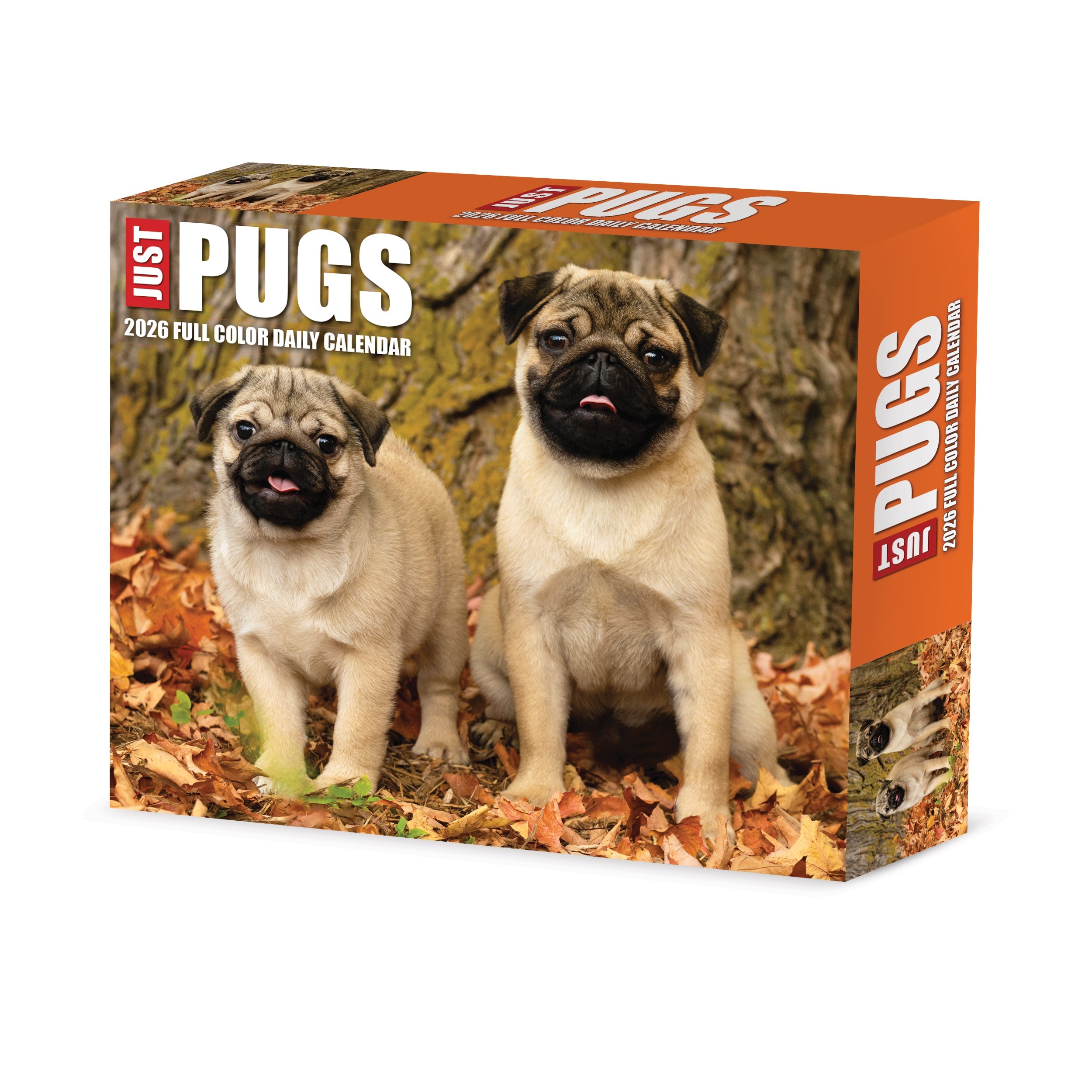 2026 Pugs - Boxed Page-A-Day