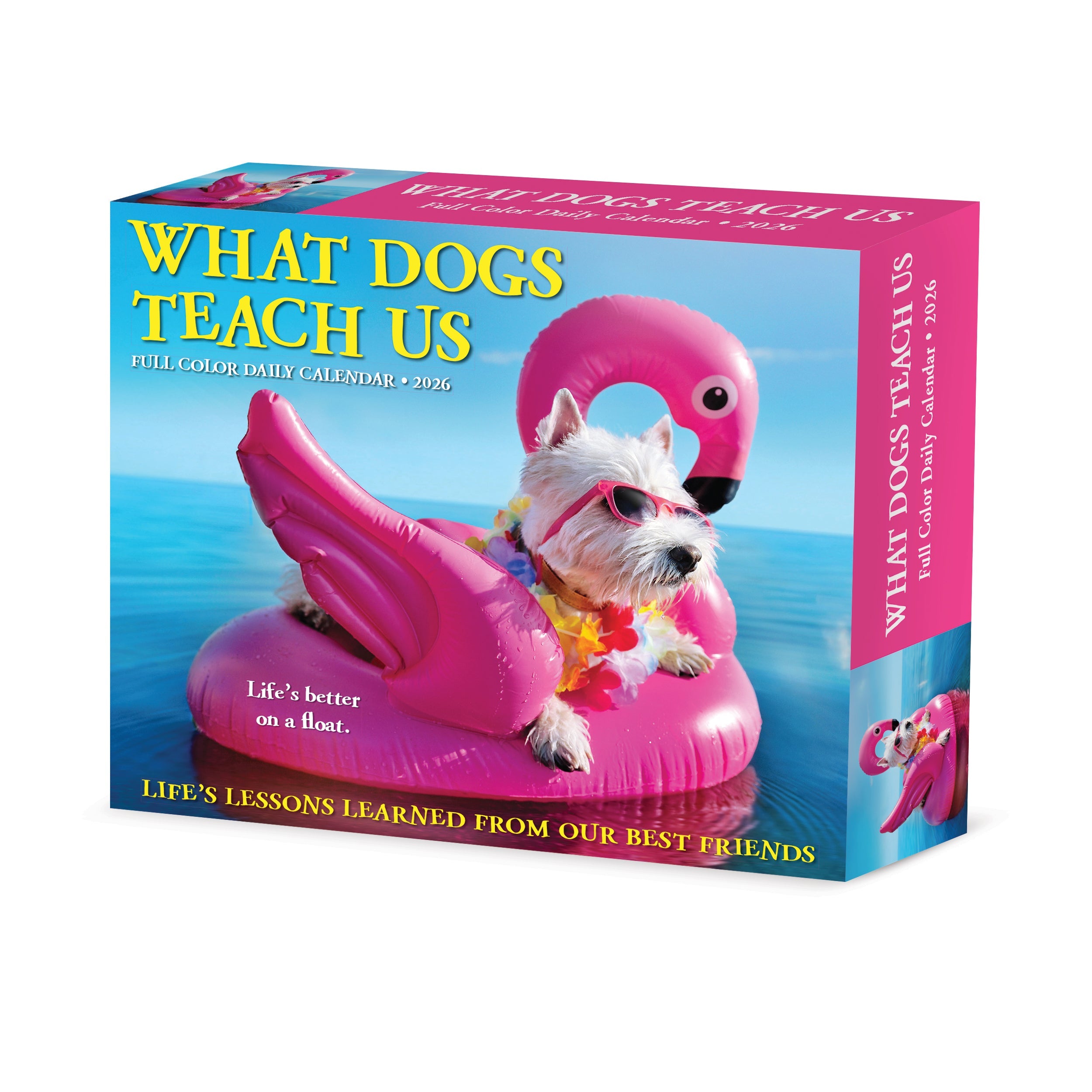 2026 What Dogs Teach Us - Boxed Page-A-Day