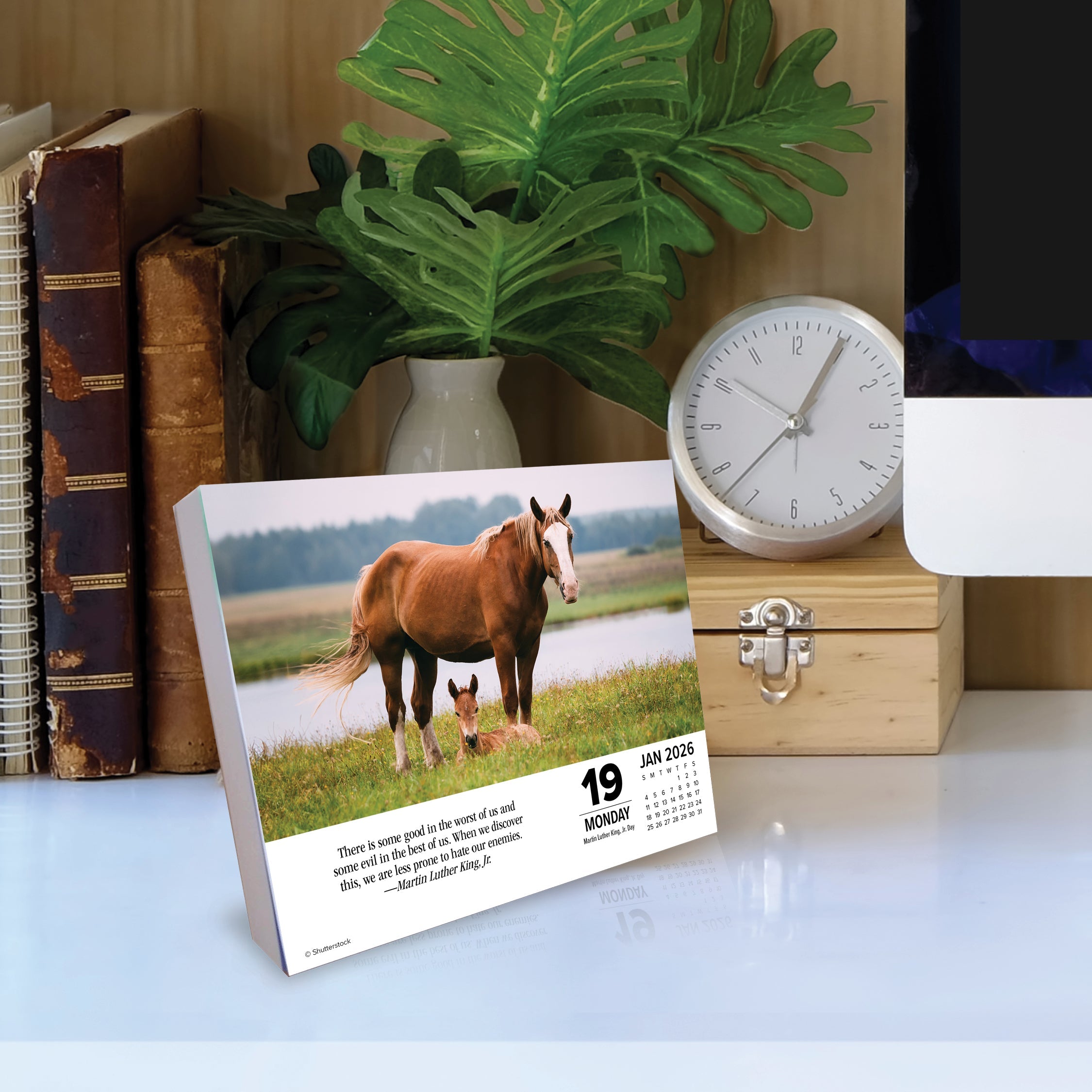 2026 What Horses Teach Us - Boxed Page-A-Day