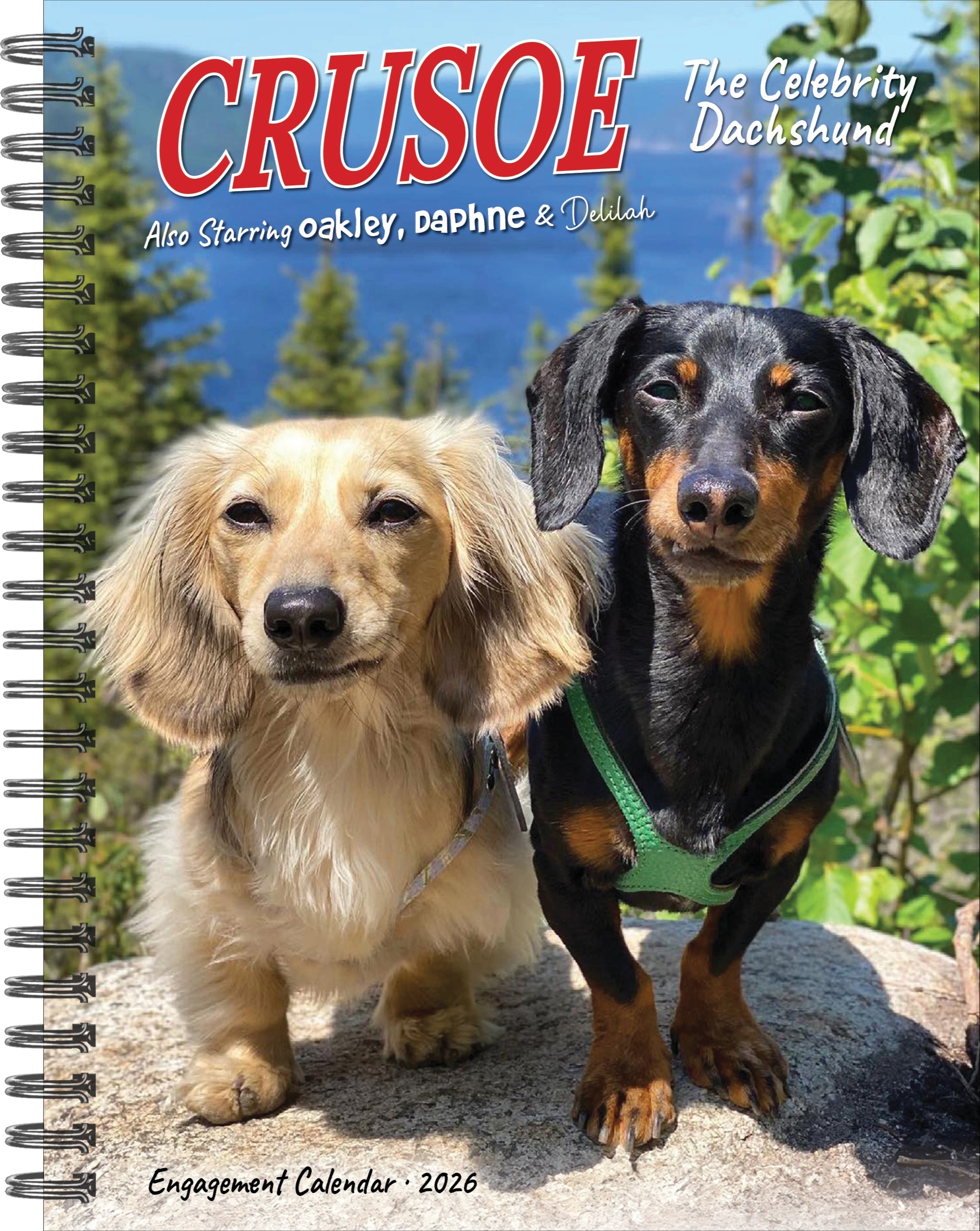 2026 Crusoe the Celebrity Dachshund - Weekly Diary/Planner