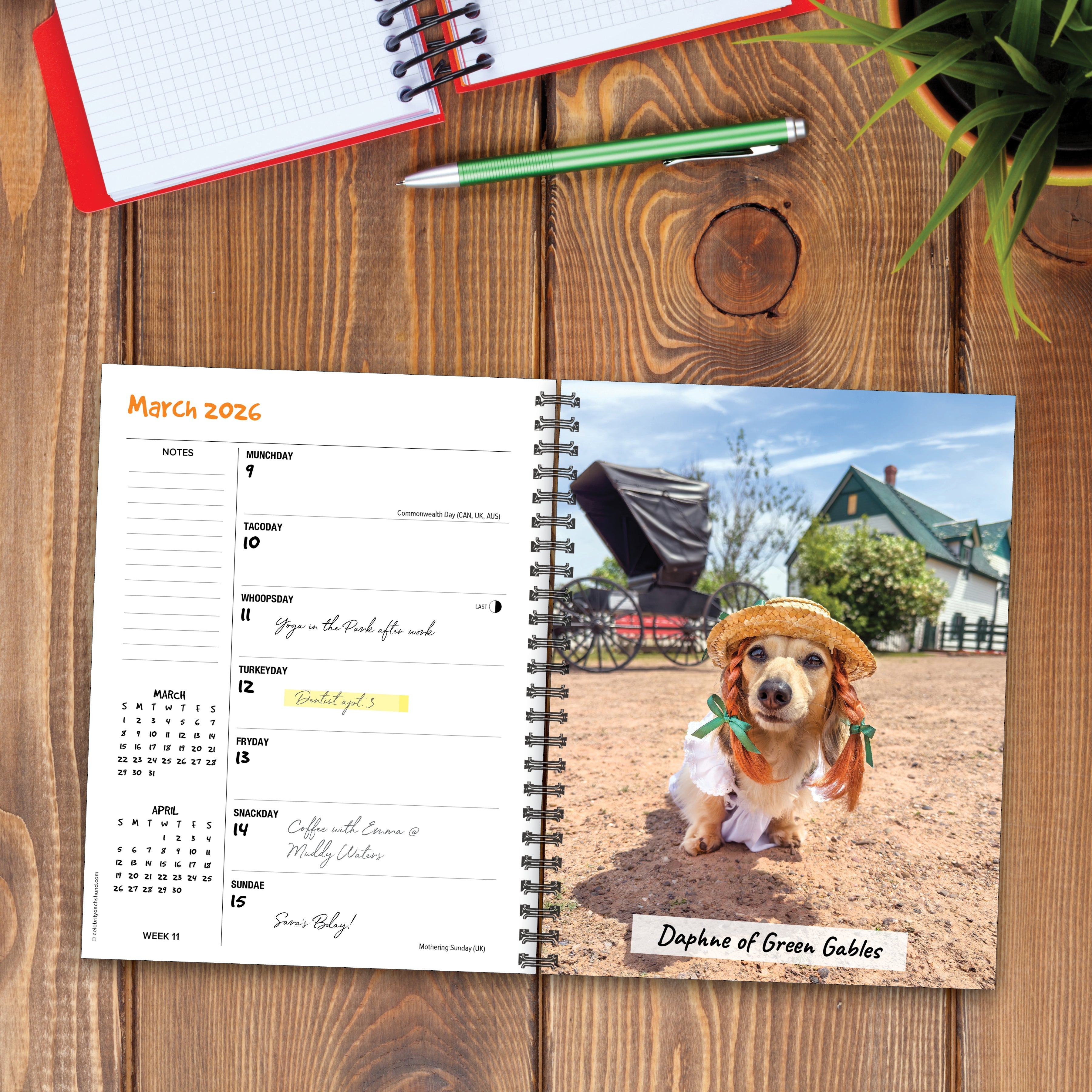 2026 Crusoe the Celebrity Dachshund - Weekly Diary/Planner