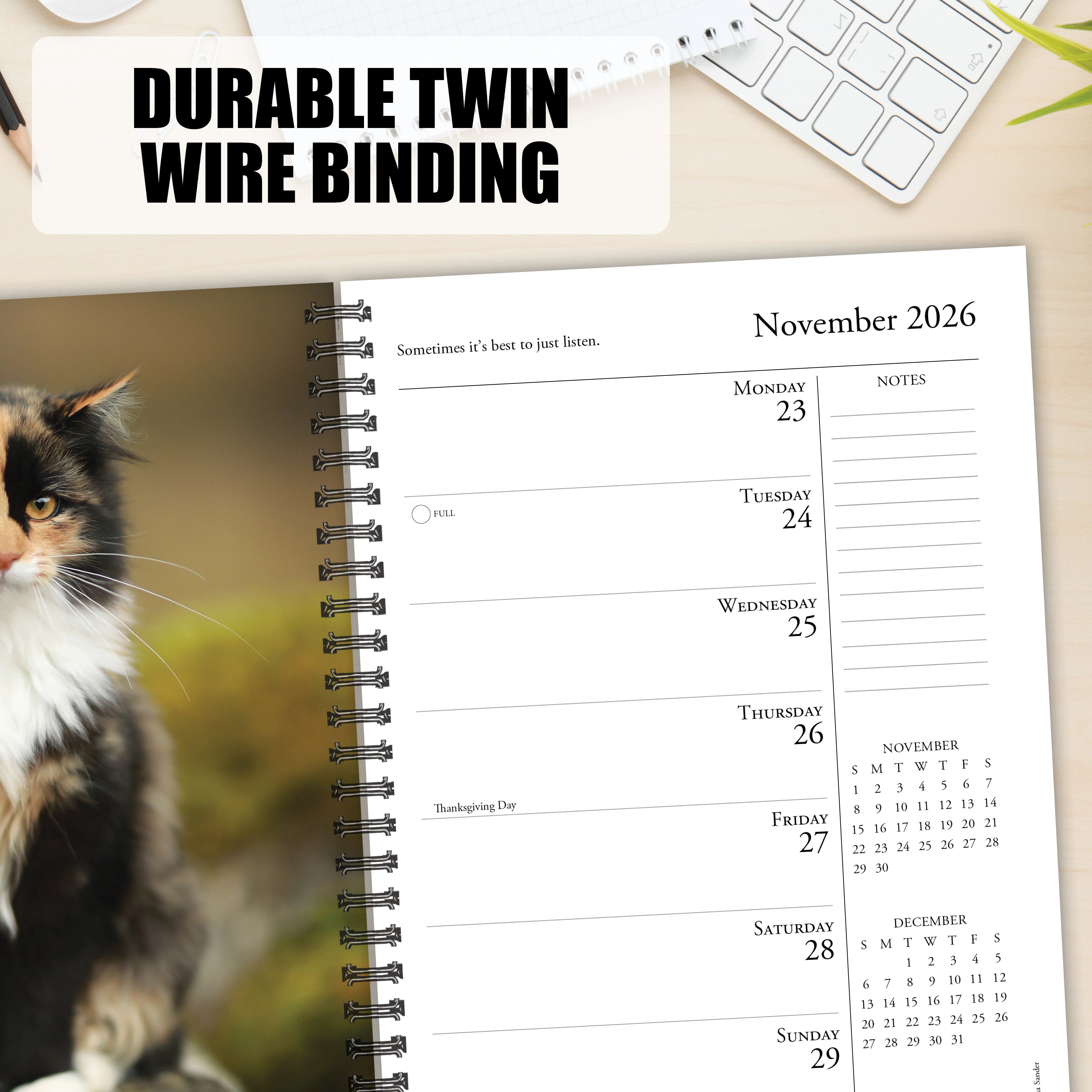 2026 What Cats Teach Us - Weekly Diary/Planner