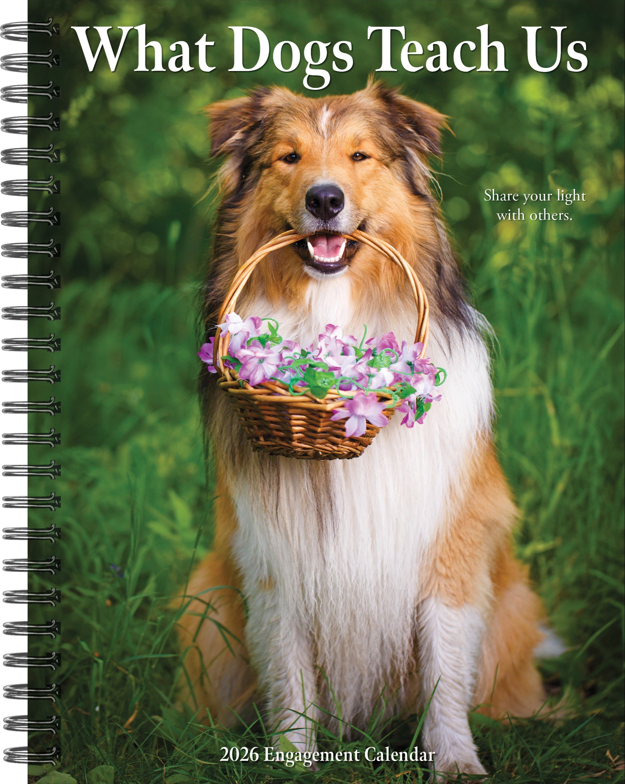 2026 What Dogs Teach Us - Weekly Diary/Planner
