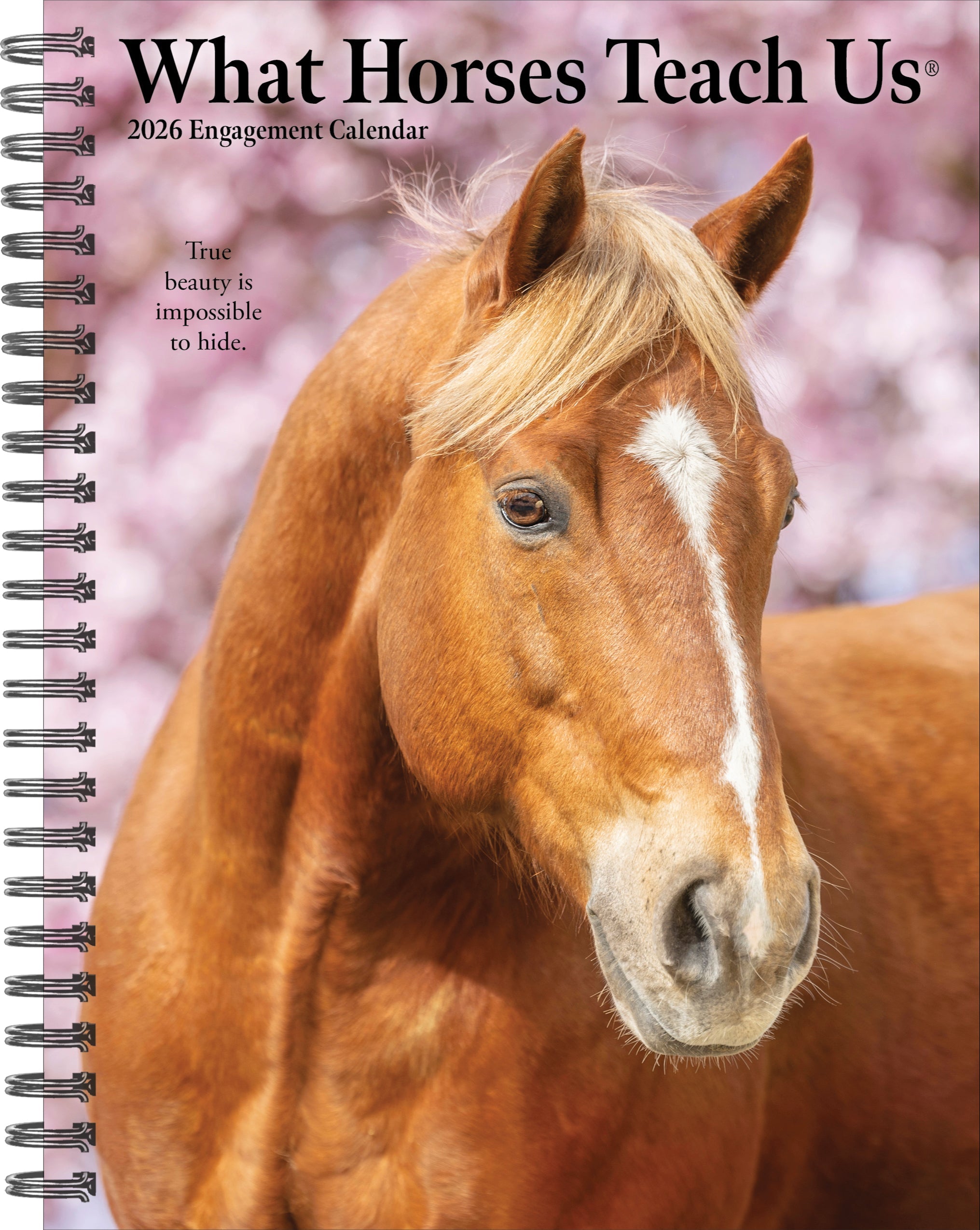 2026 What Horses Teach Us - Weekly Diary/Planner